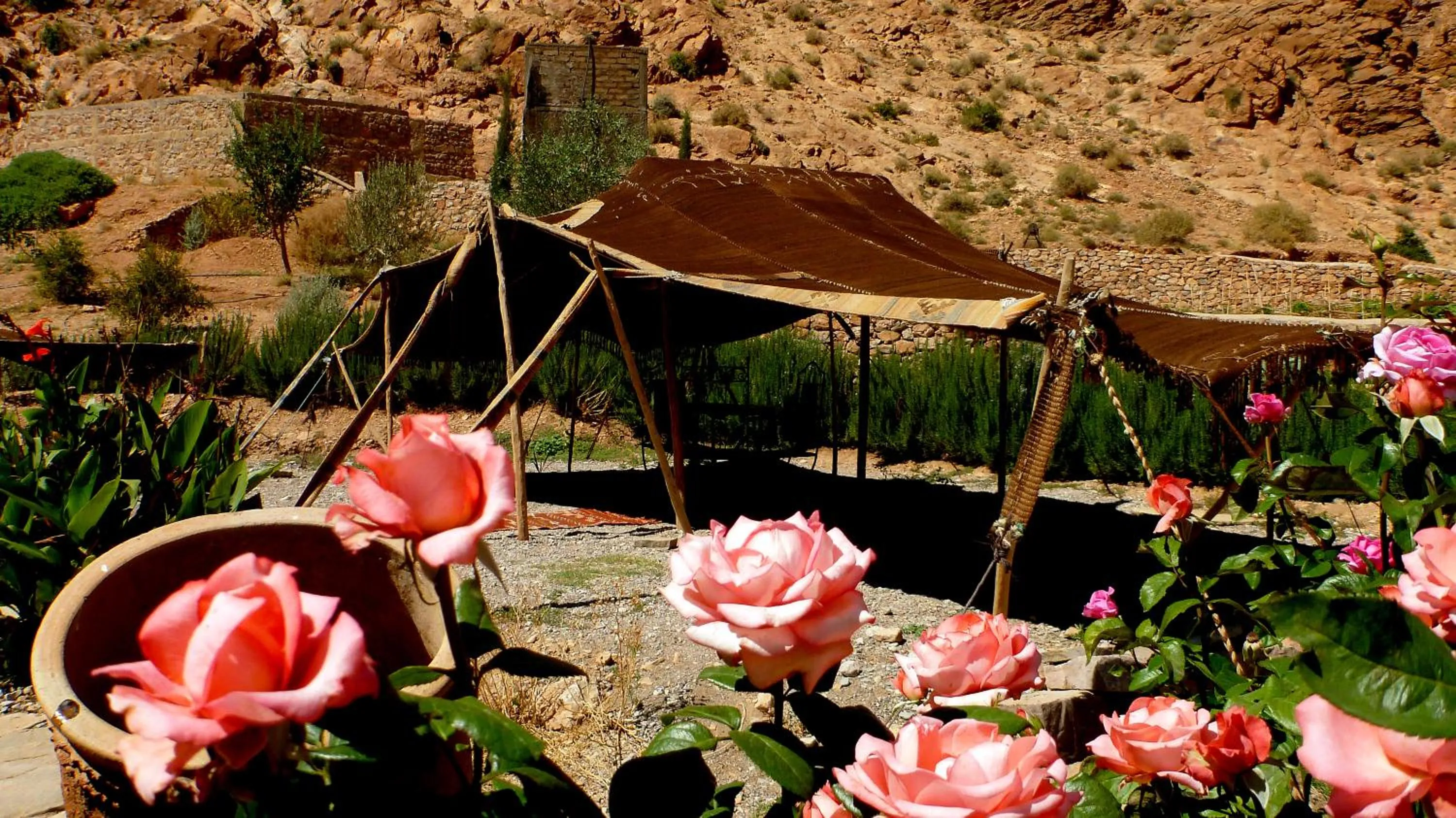 Garden in Auberge Le Festival Todra Gorge