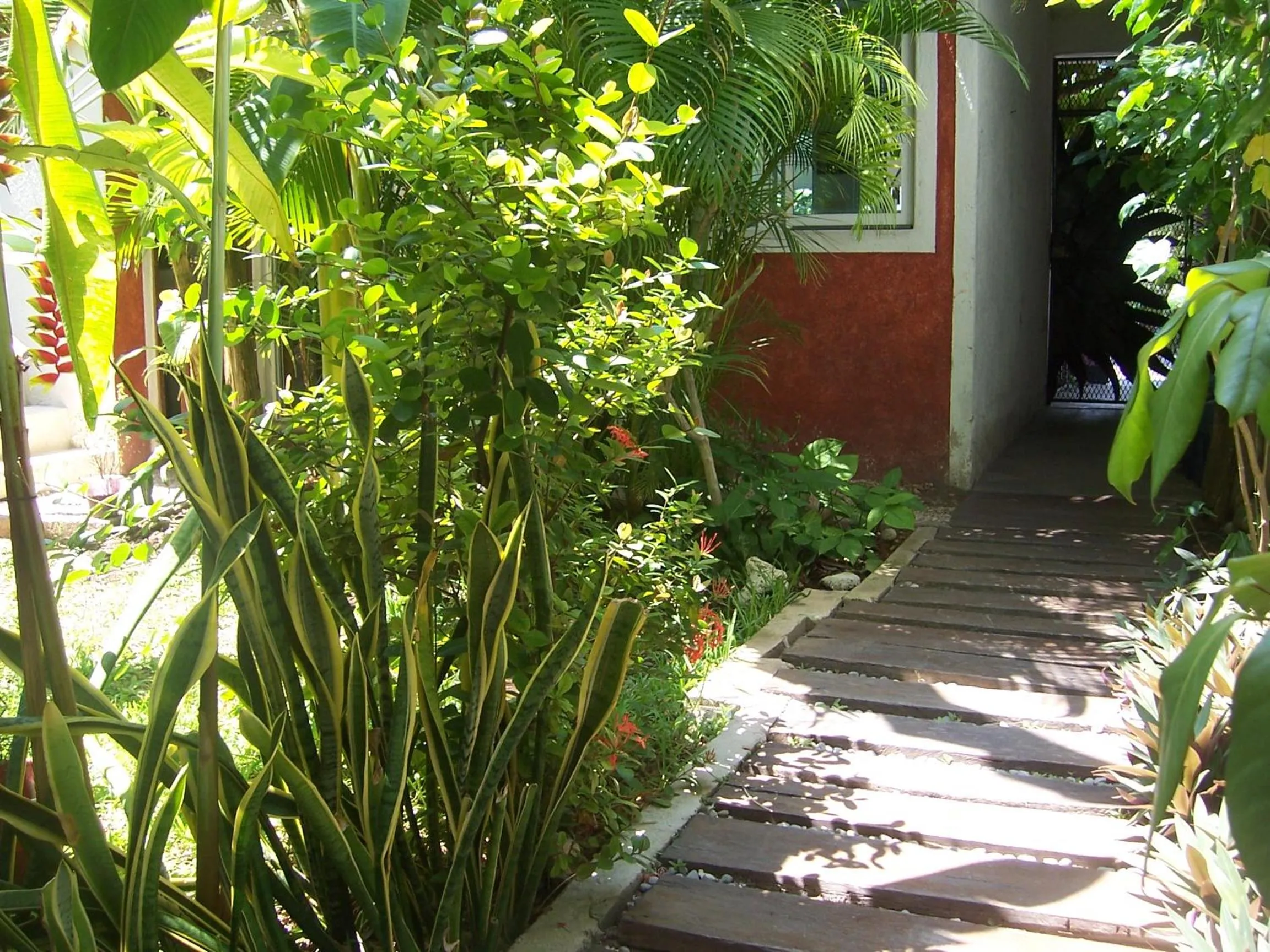 Garden in Elements of the Island
