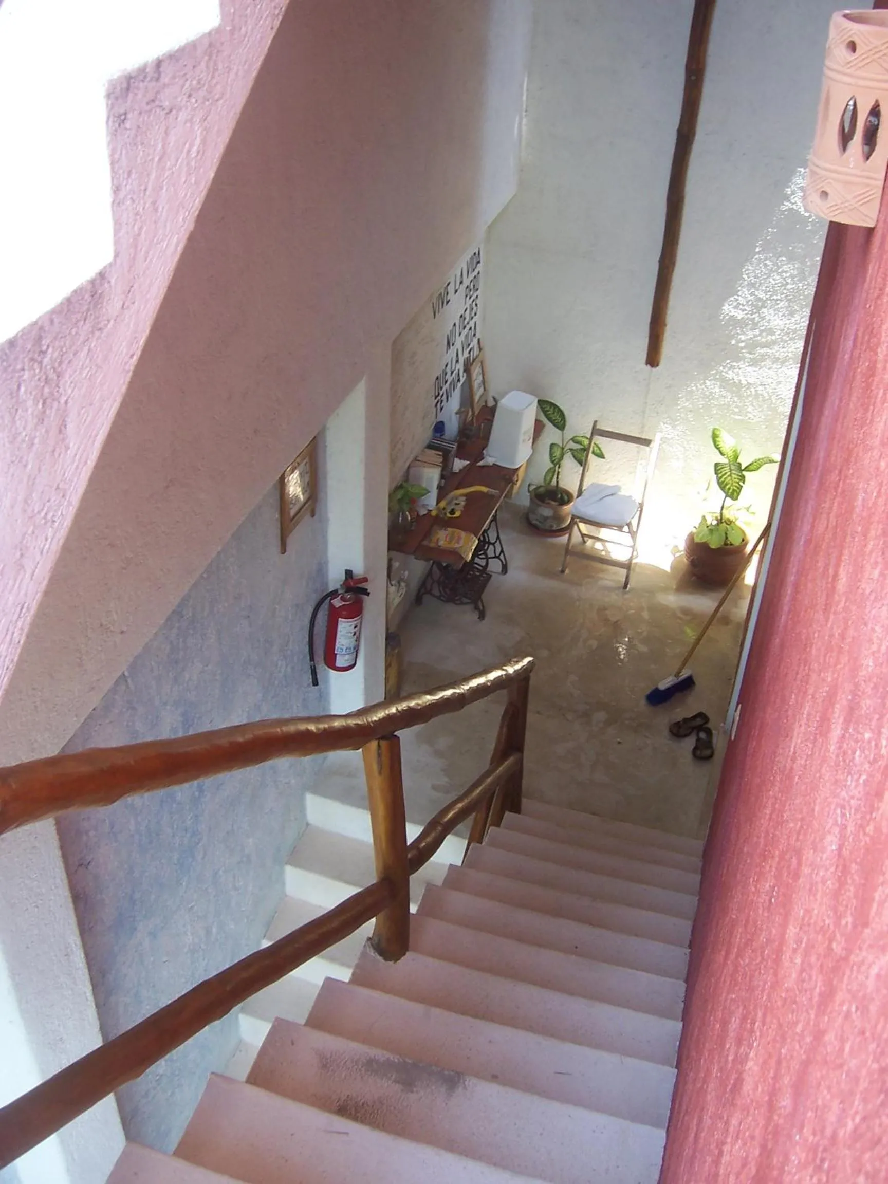Decorative detail in Elements of the Island