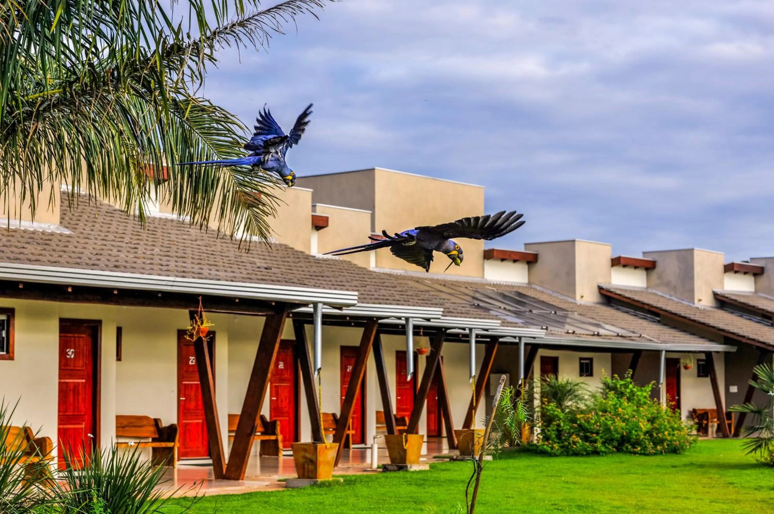 Property building in Pousada Piuval