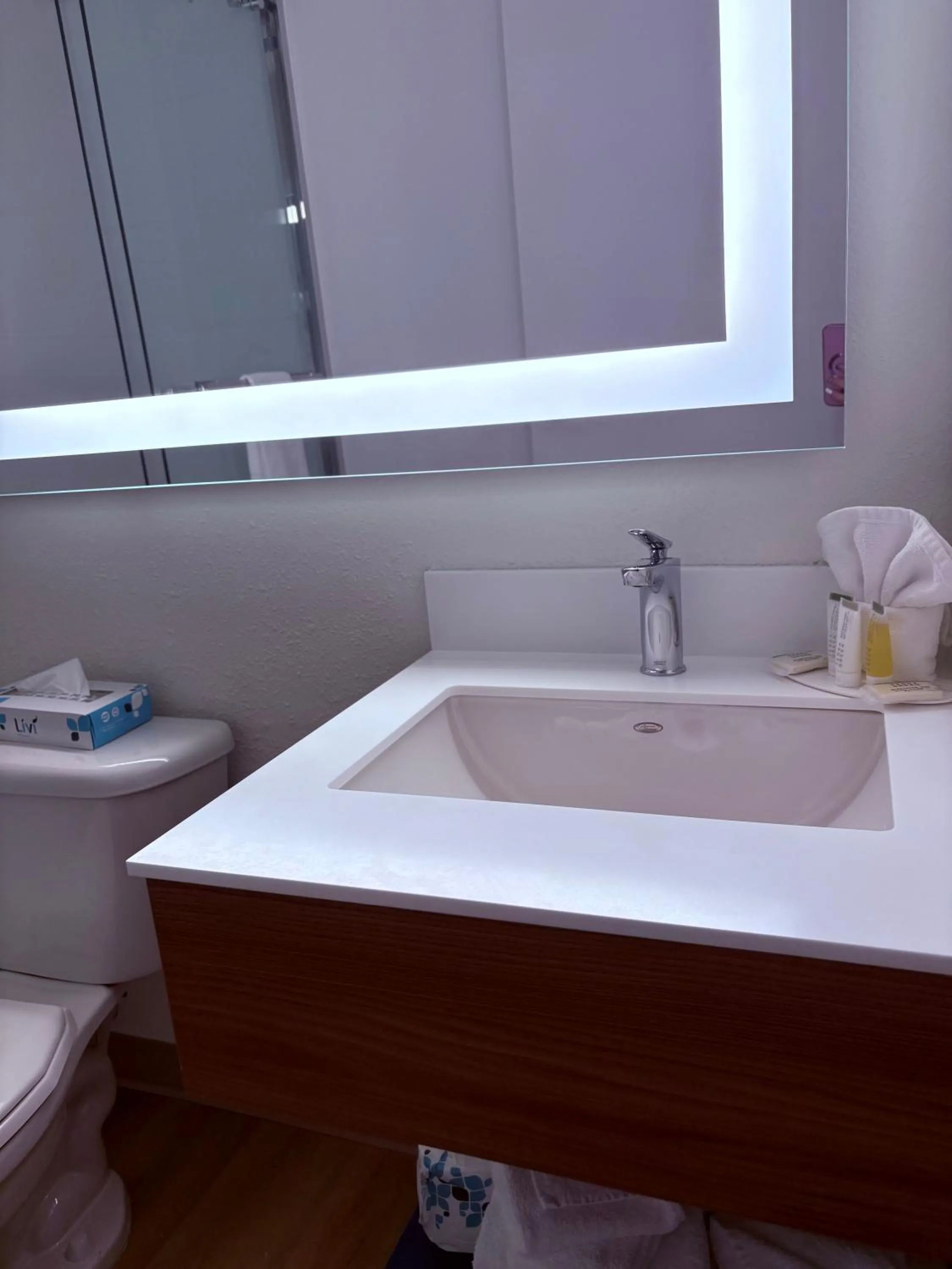 Bathroom in Microtel Inn & Suites by Wyndham Denver Airport
