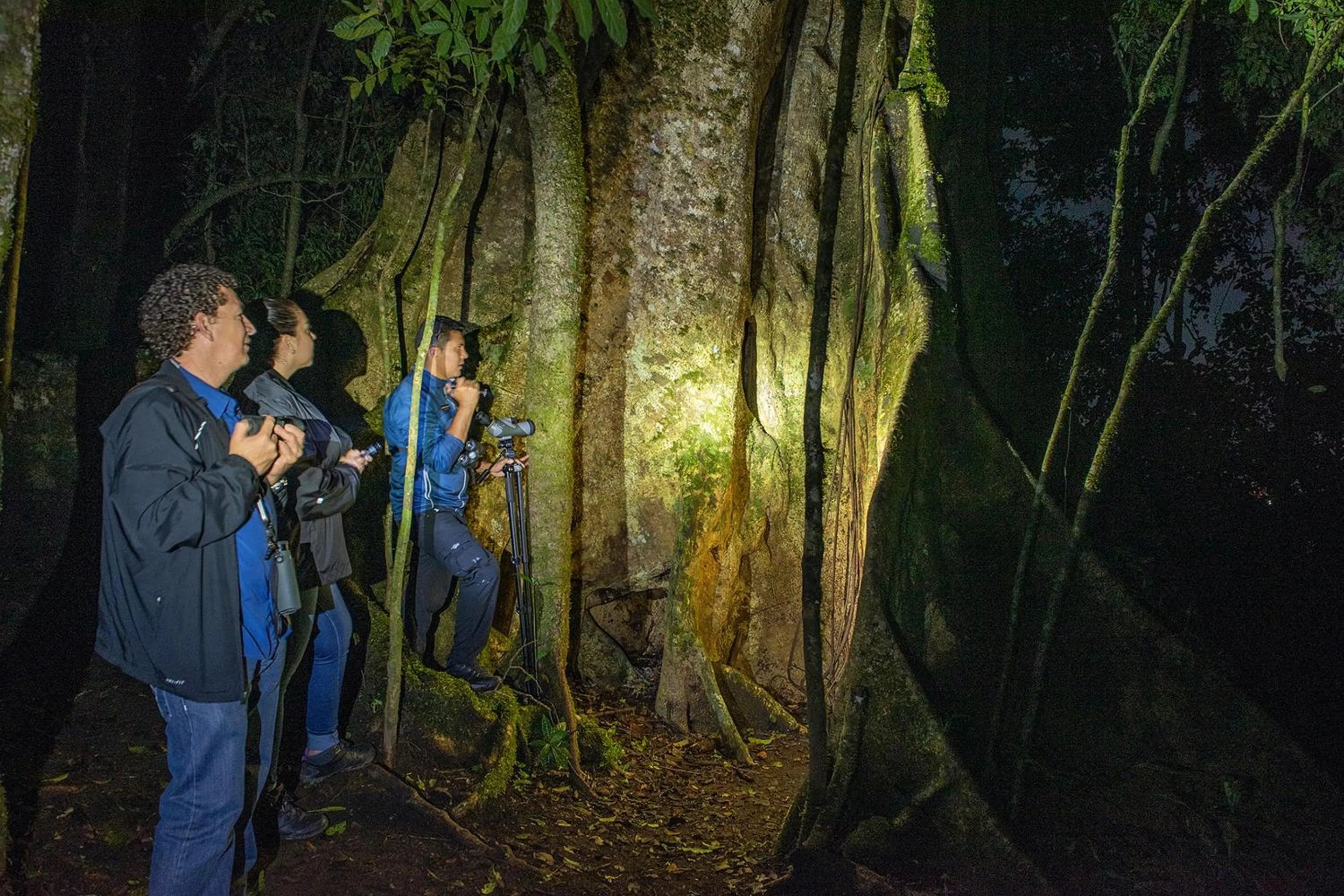 Night in Monteverde Lodge