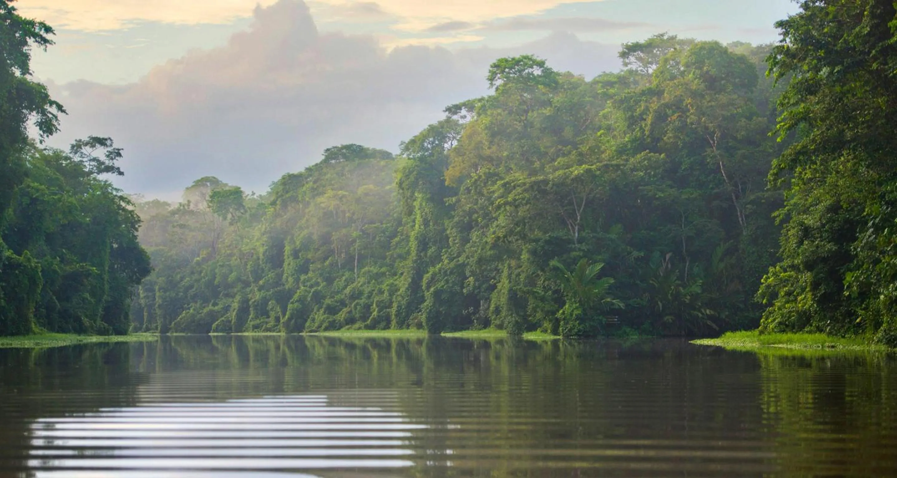 Natural landscape in Tortuga Lodge