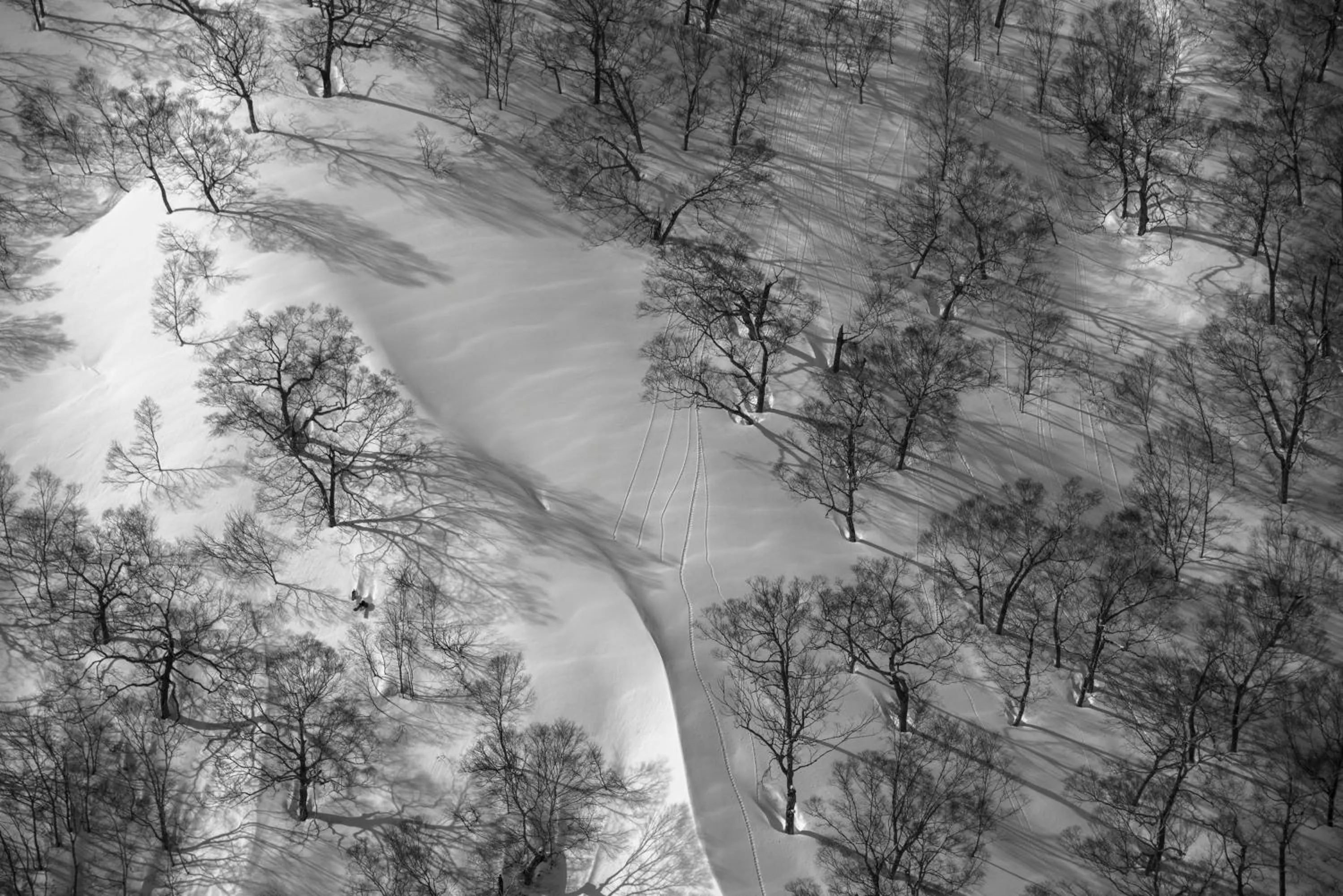 Natural landscape in Morino Lodge - Hakuba