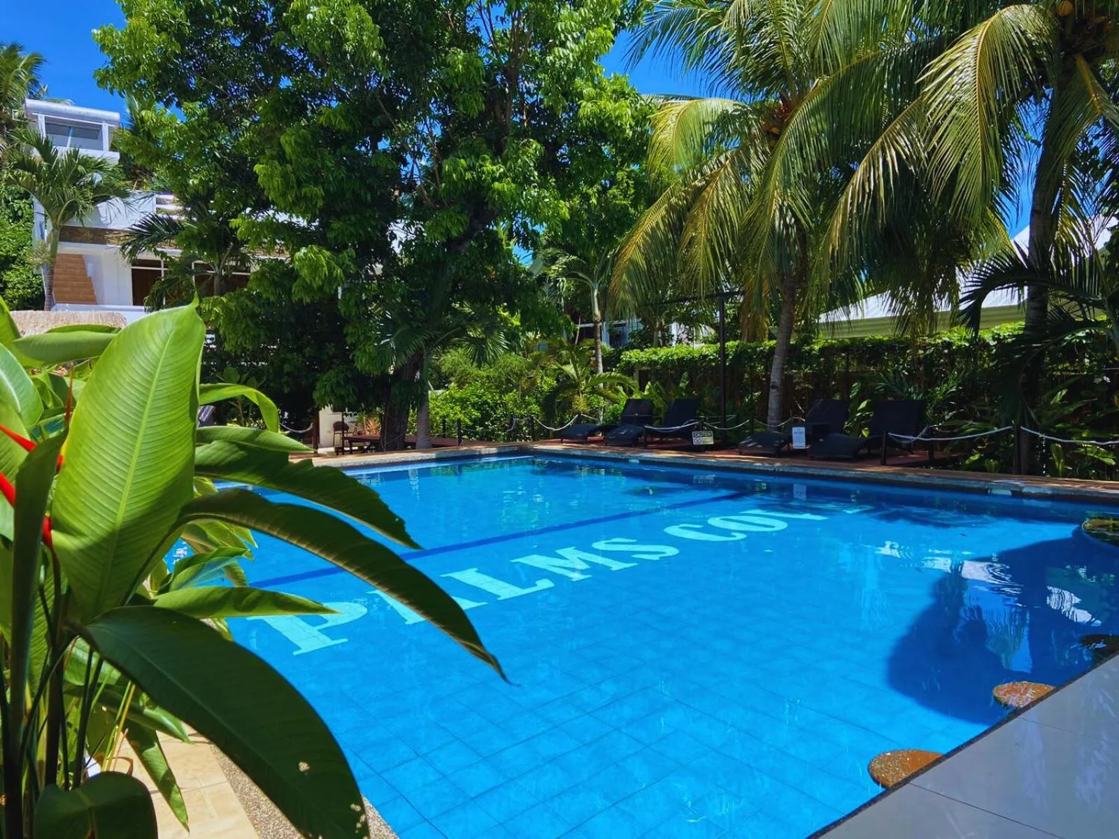 Swimming pool in Palms Cove Resort