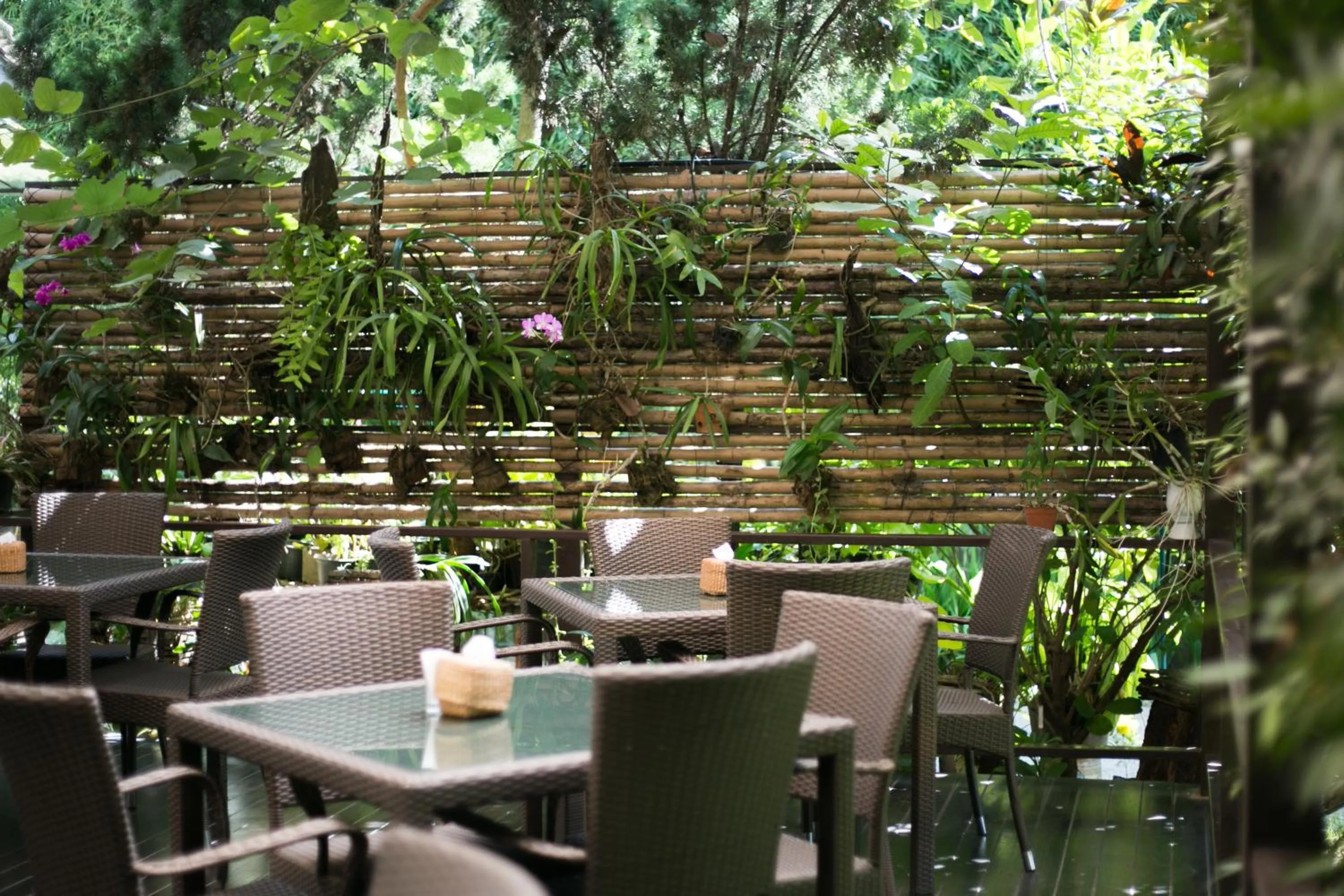 Dining area in Wilacha Chiang Rai