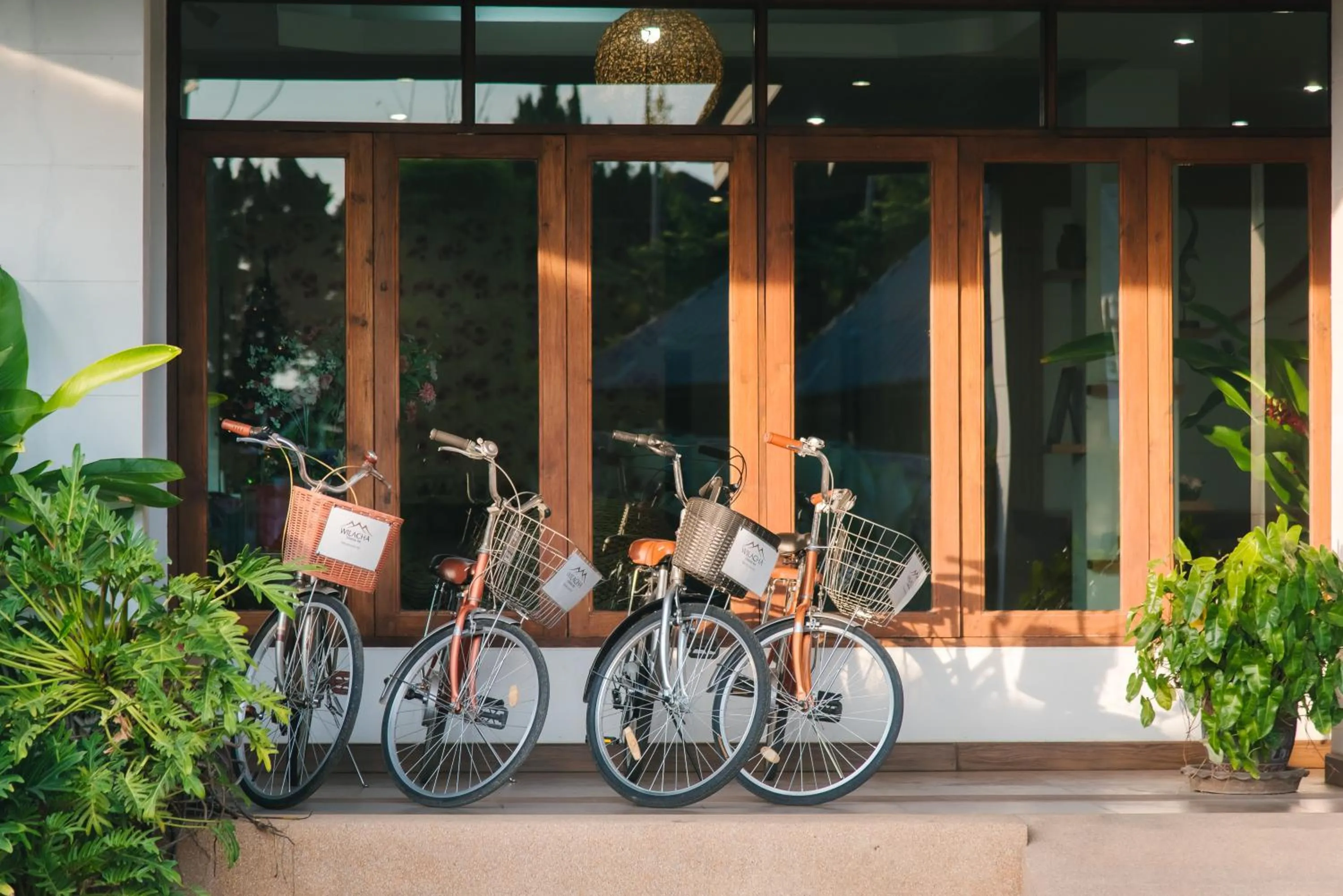 Activities in Wilacha Chiang Rai