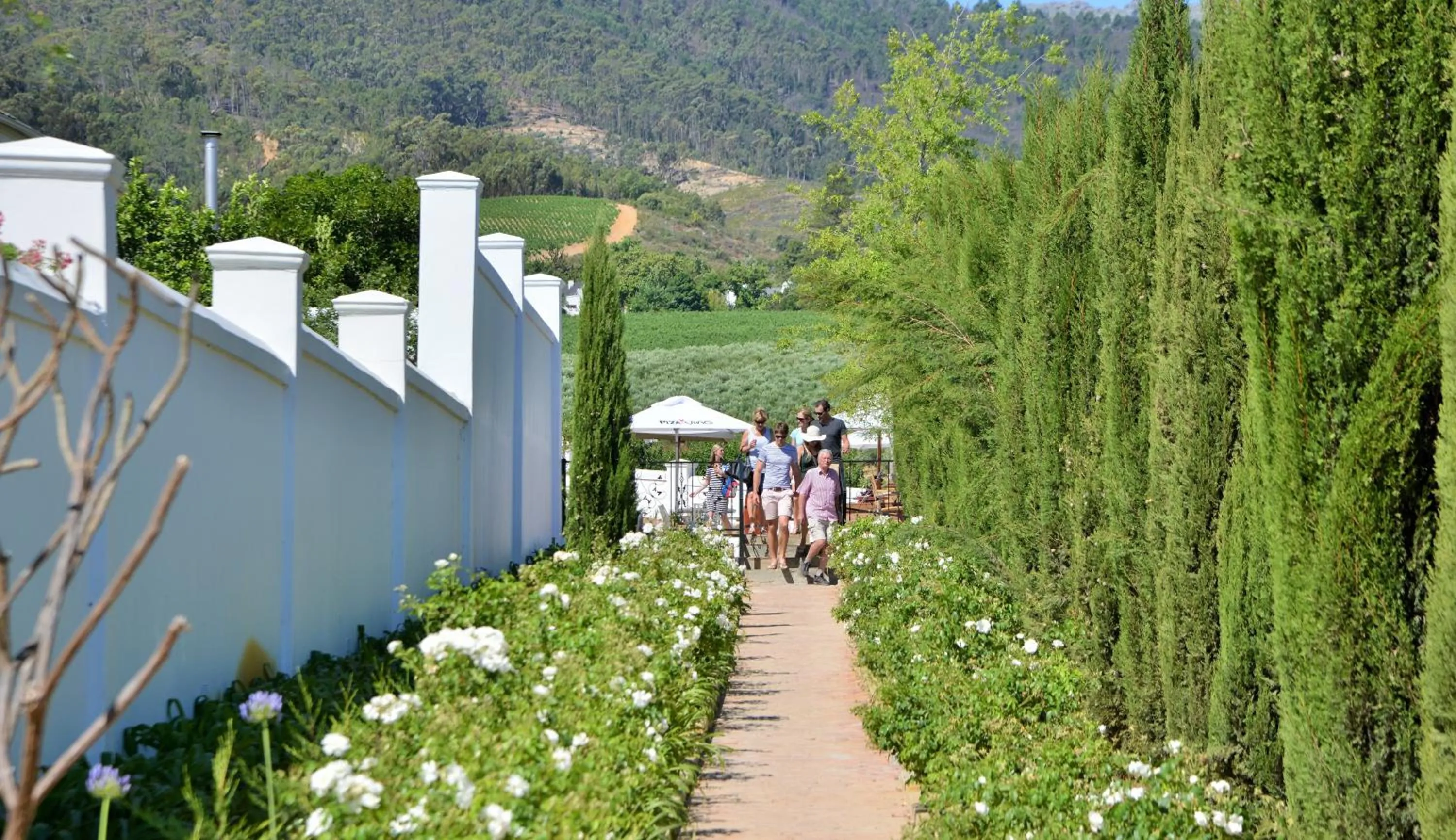 Natural landscape in Val Du Charron Wine & Leisure Estate