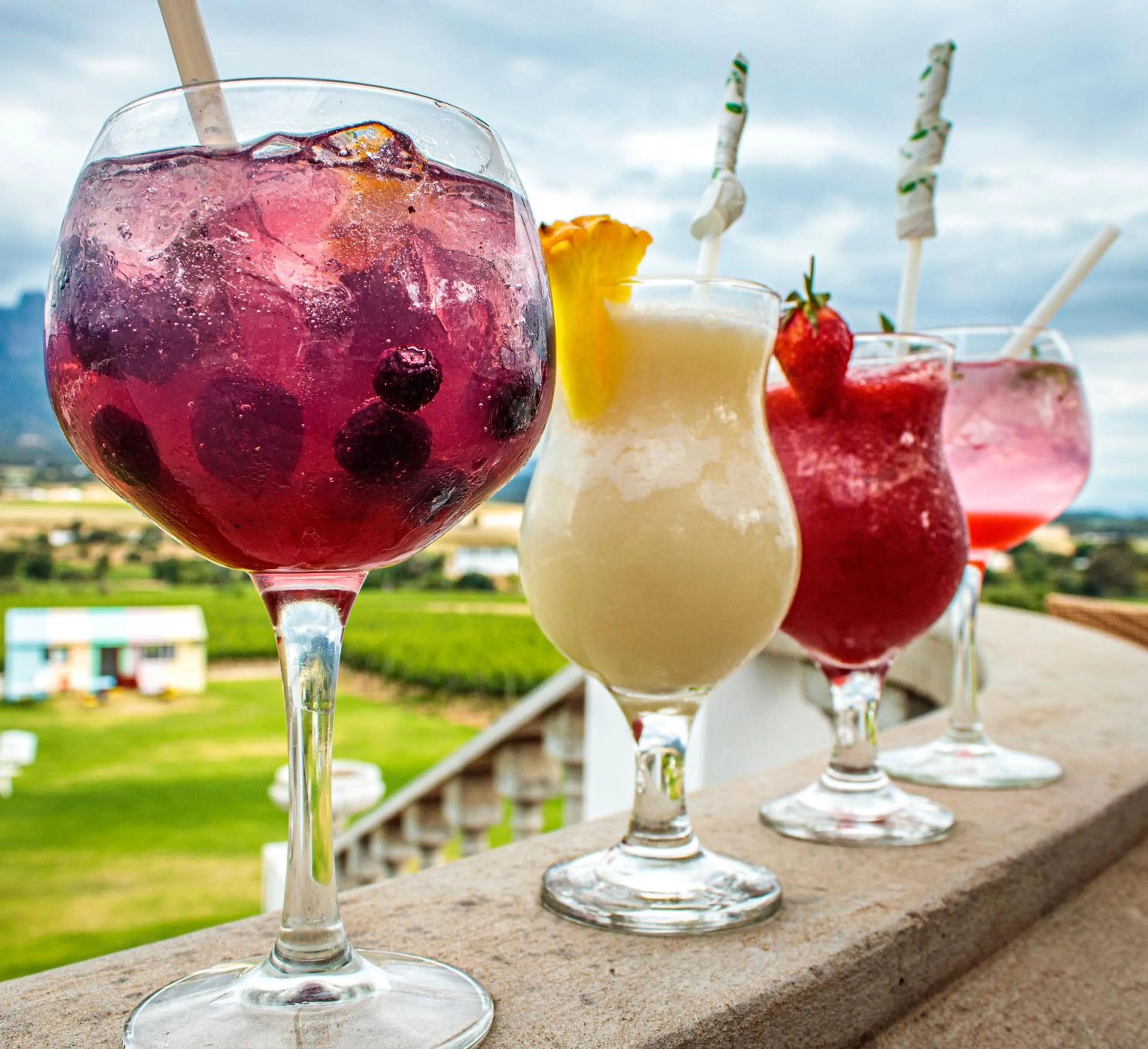Alcoholic drinks in Val Du Charron Wine & Leisure Estate