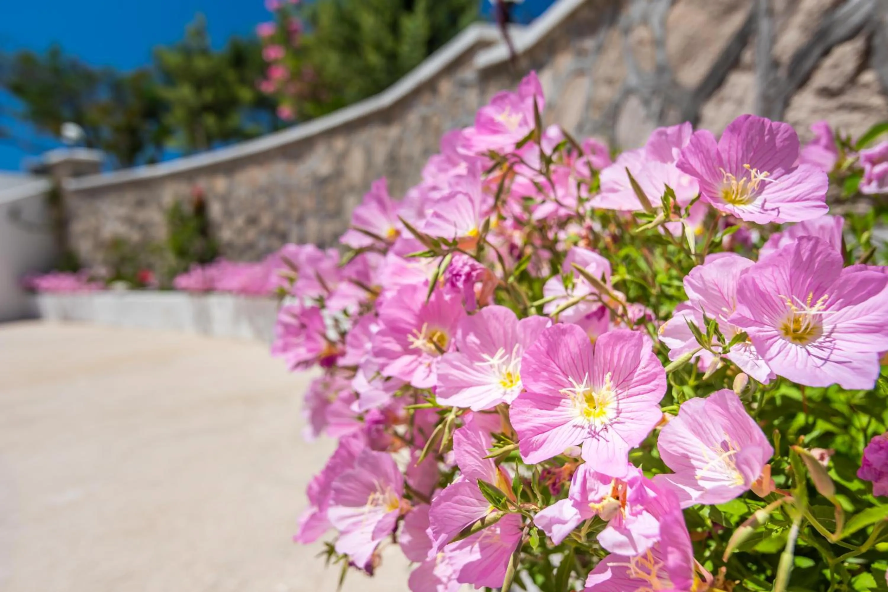 Facade/entrance in Konstantinos