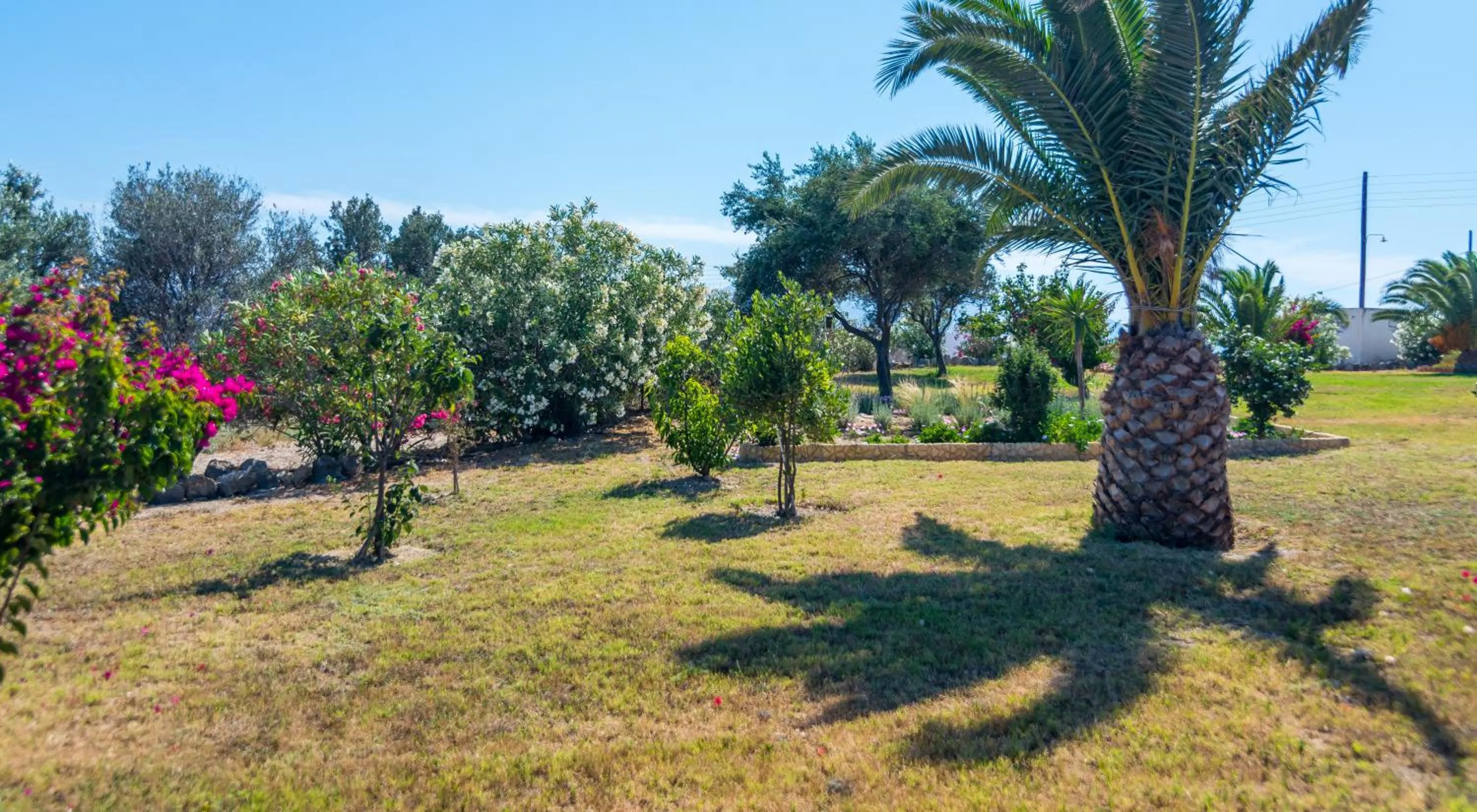Garden in Konstantinos