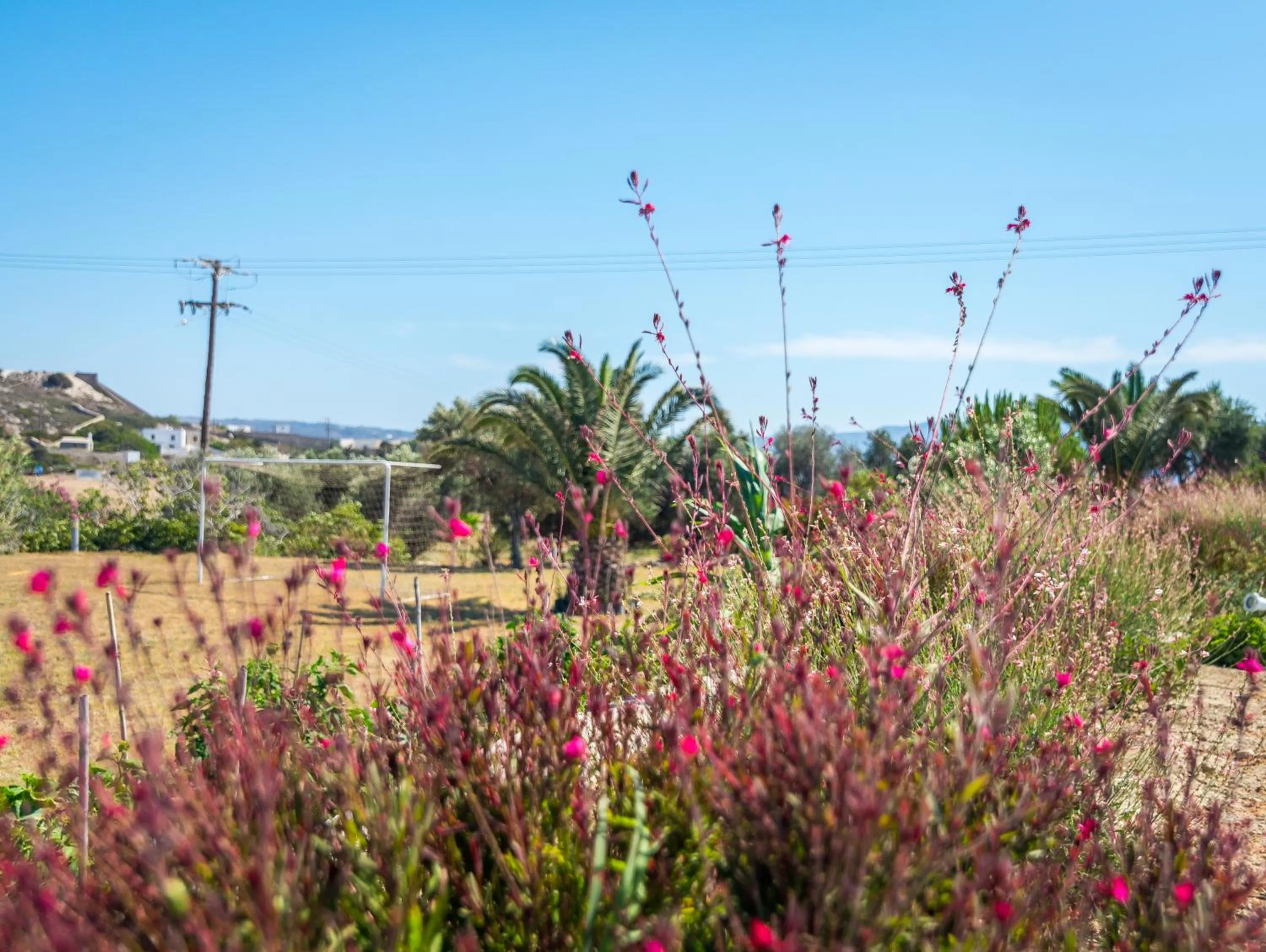 Garden in Konstantinos