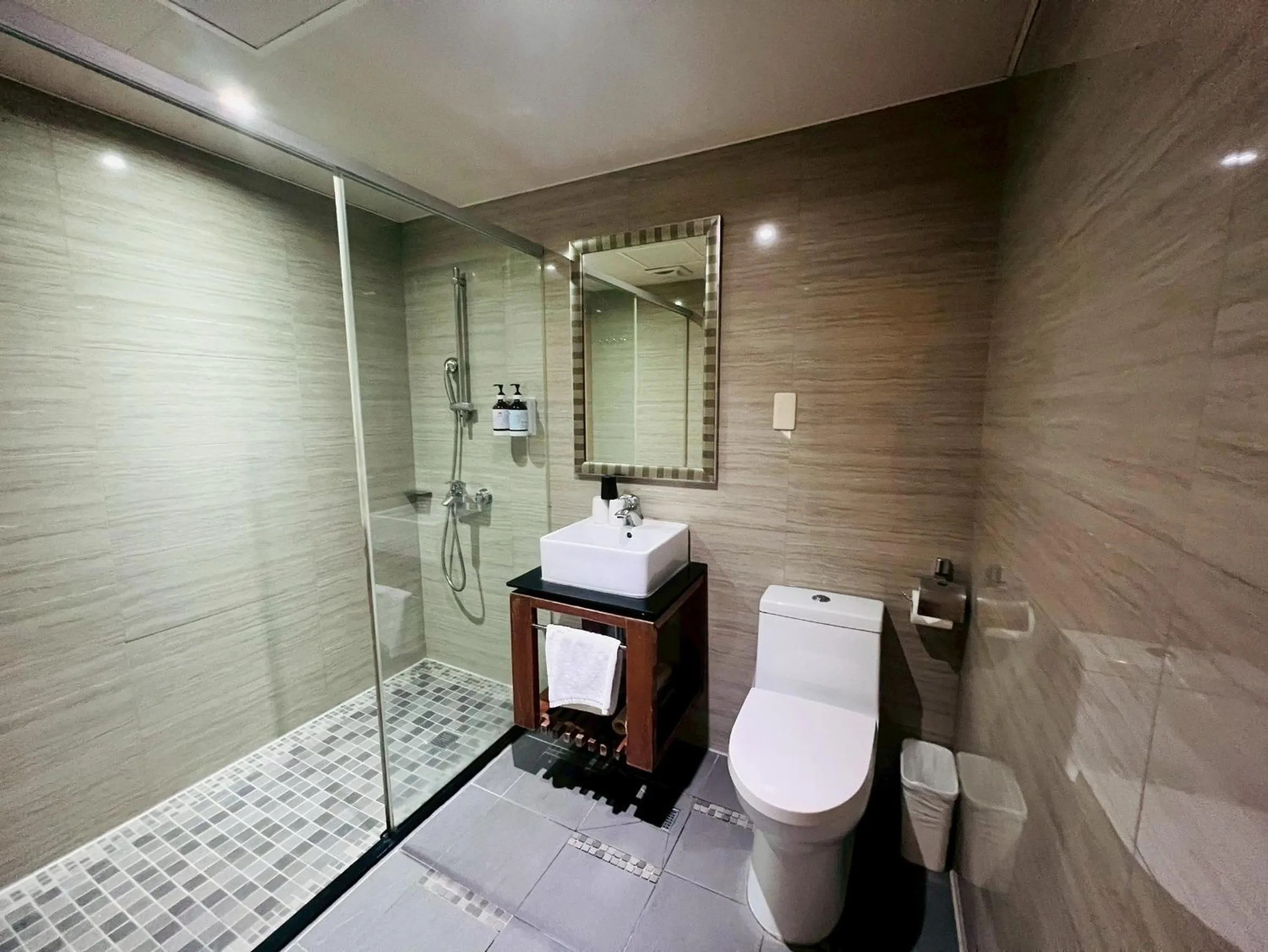 Shower in Paris Business Hotel