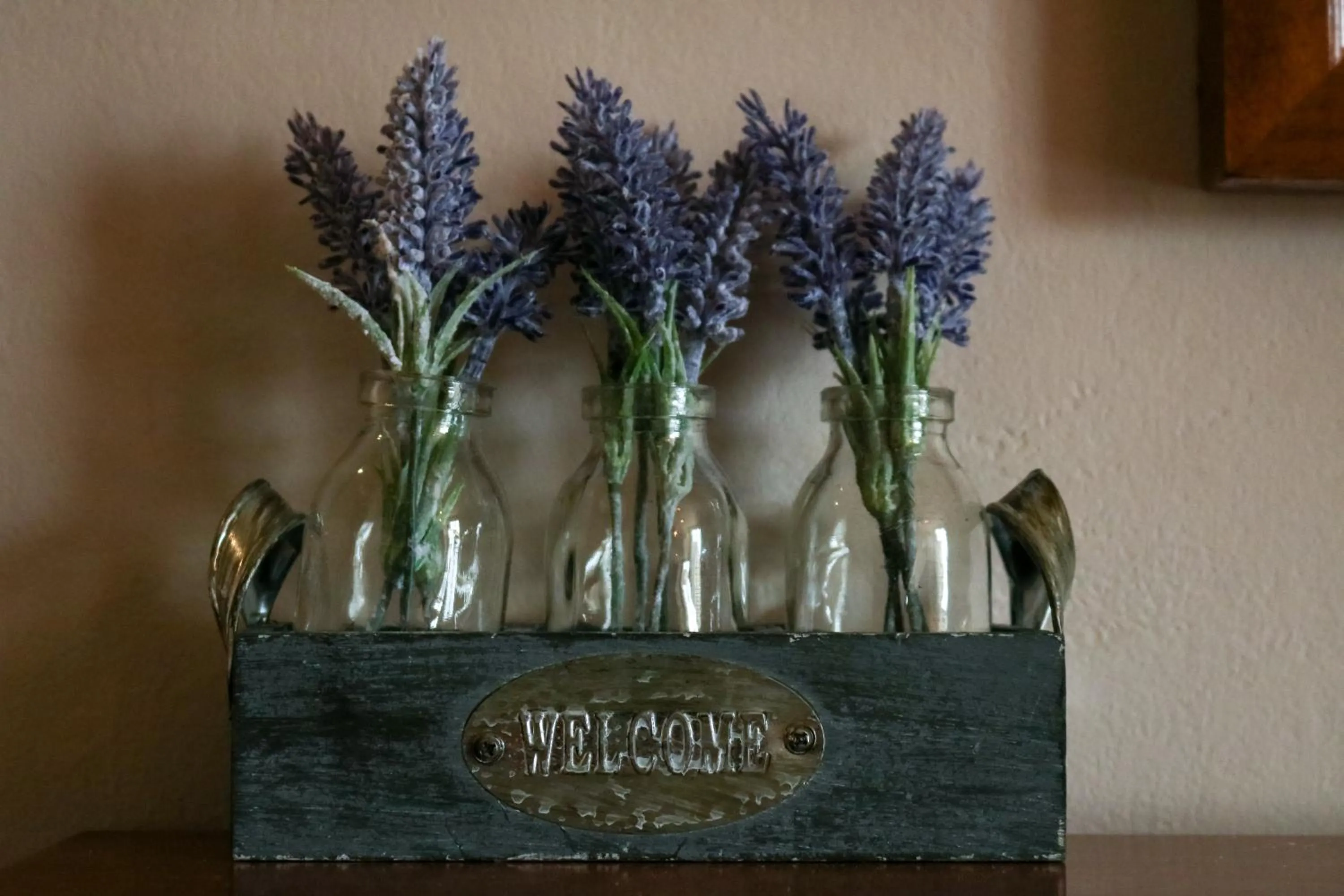 Other in The Hollybush Inn and B&B