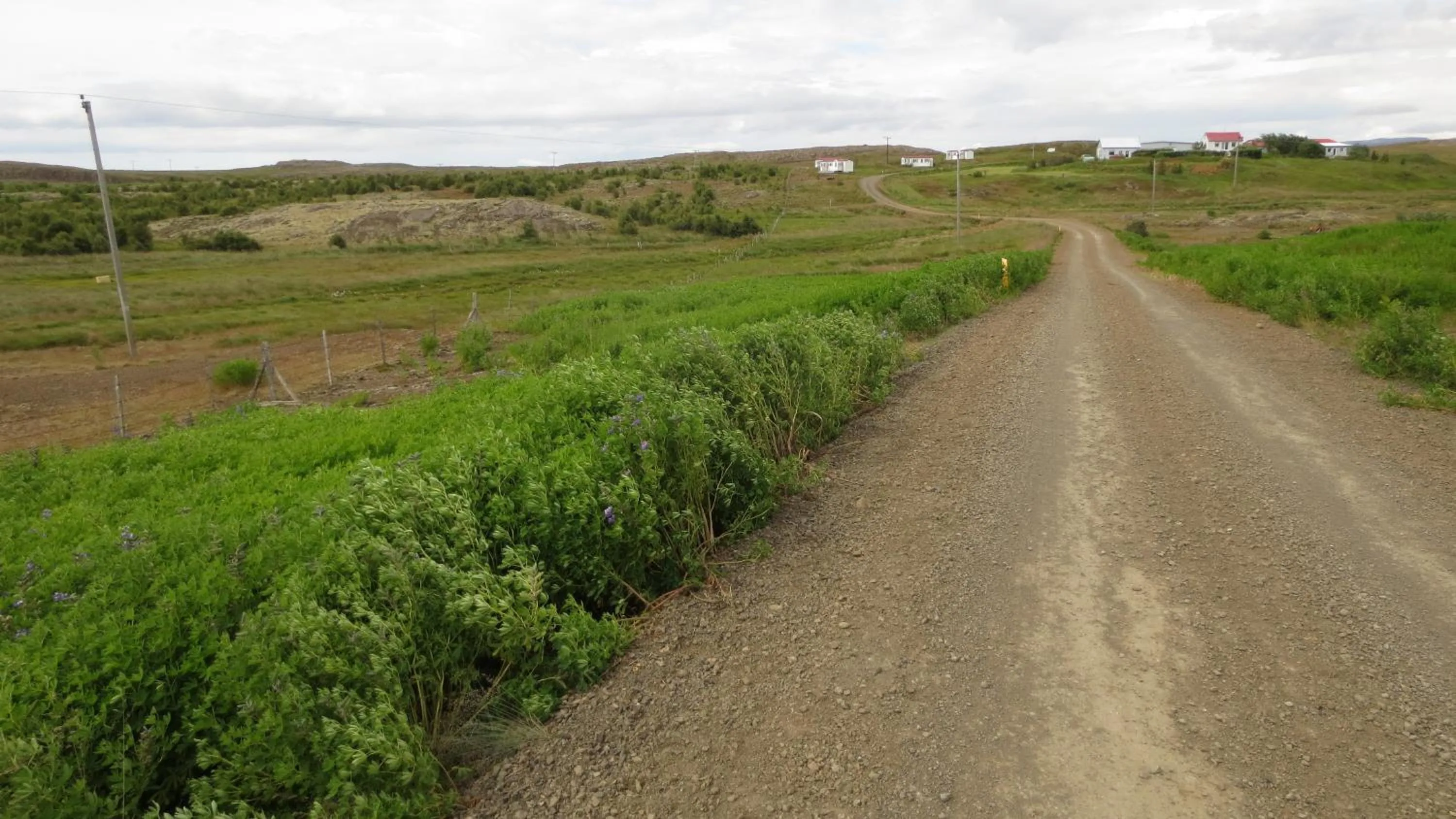 Area and facilities in Lækjarkot Rooms and Cottages with Kitchen