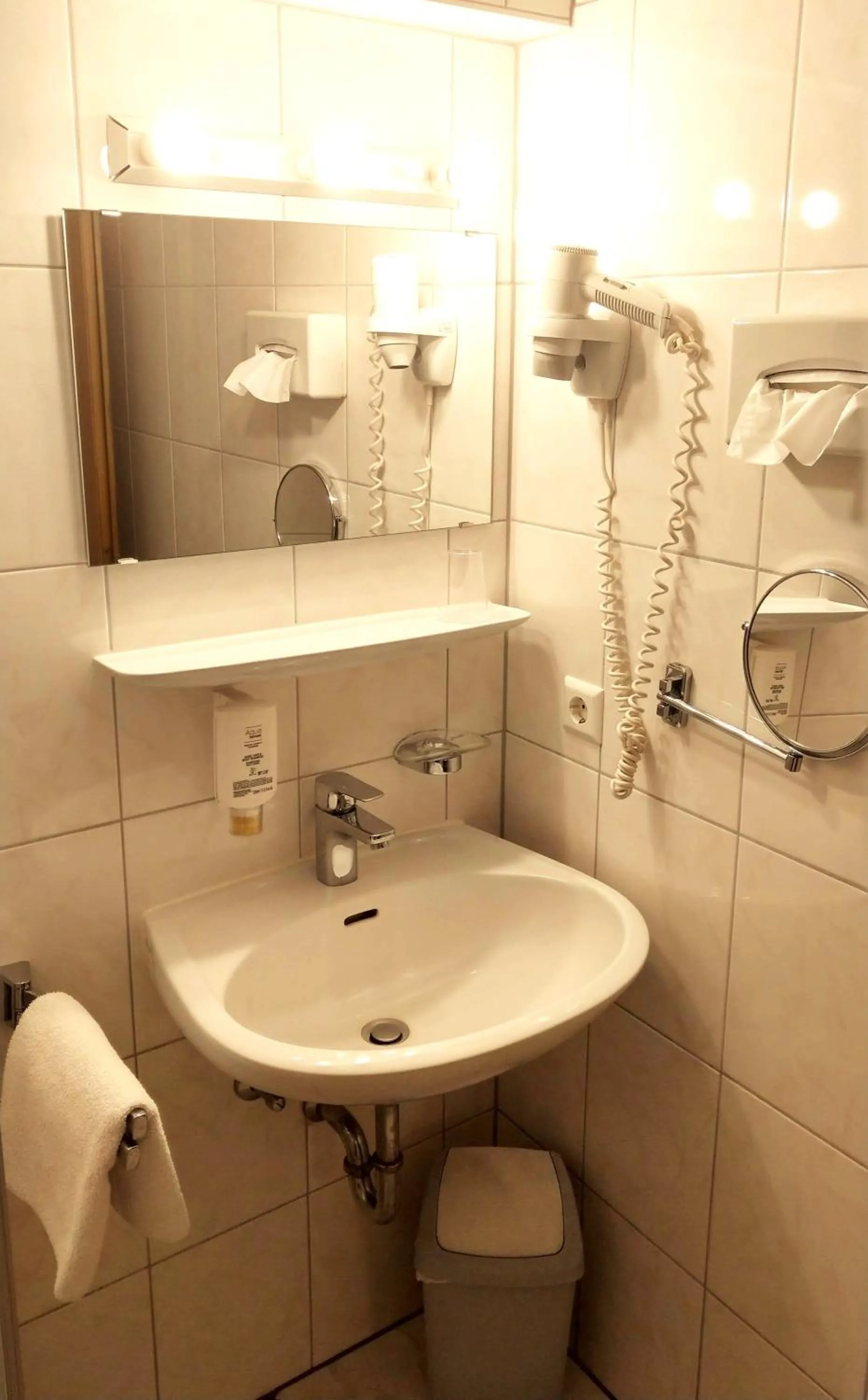 Shower in Hotel Schwanen