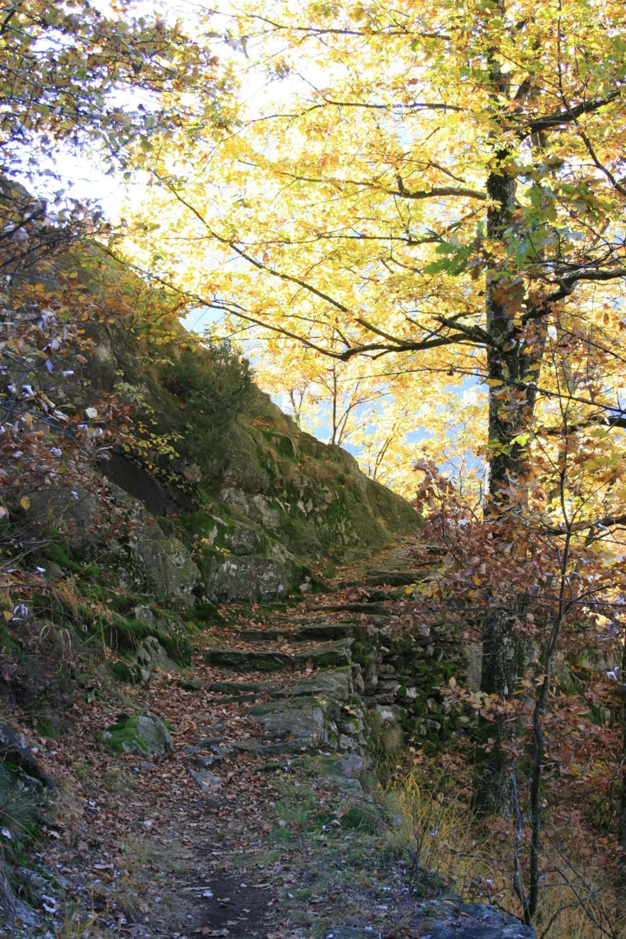 Natural landscape in ALBERGO BELVEDERE