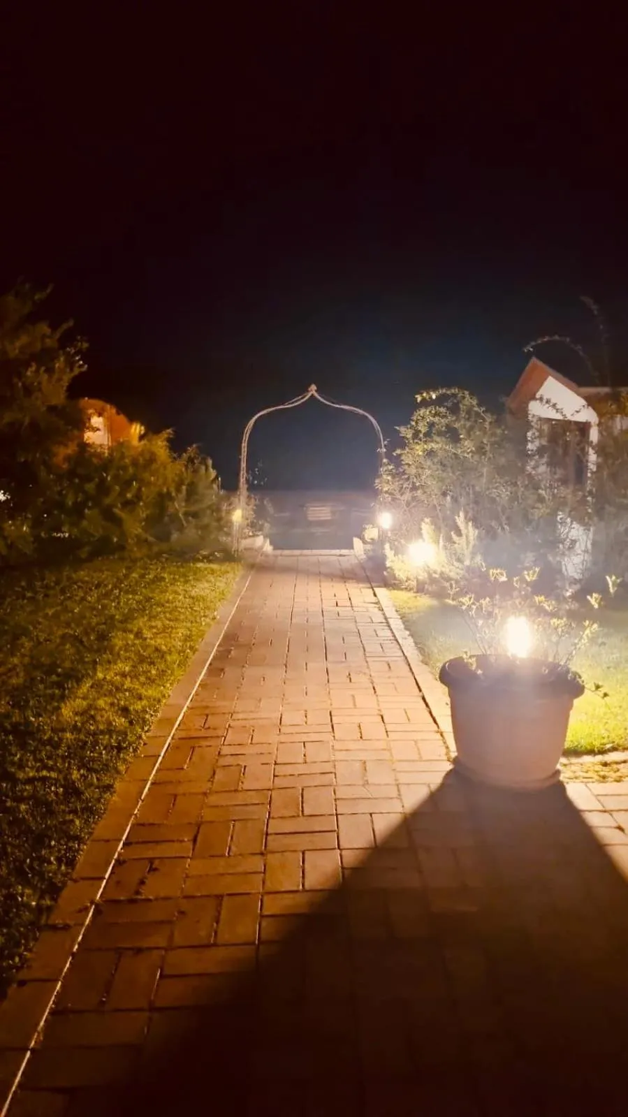 View (from property/room) in Hotel Inselhof