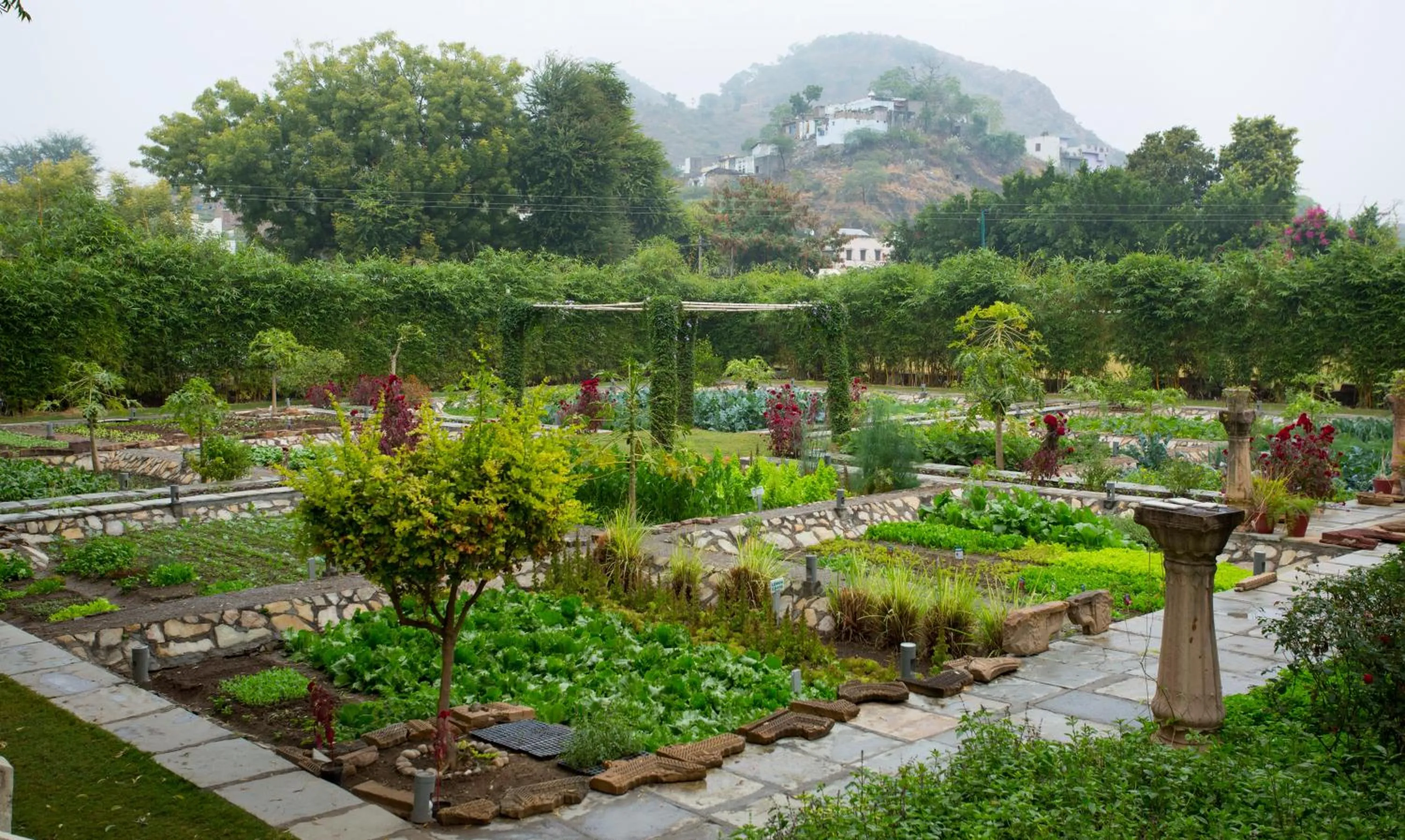 Day in RAAS Devigarh