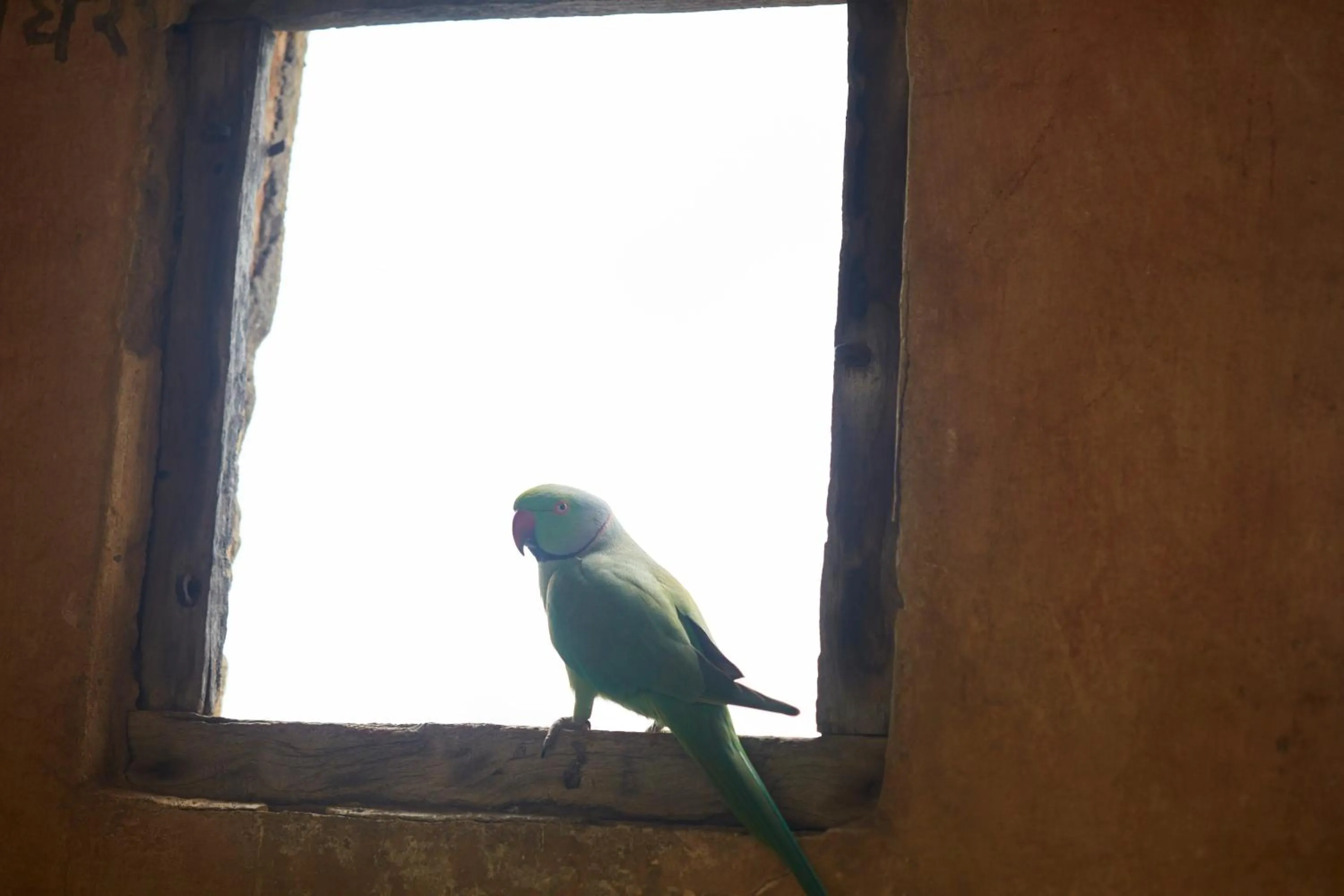 Day in RAAS Devigarh