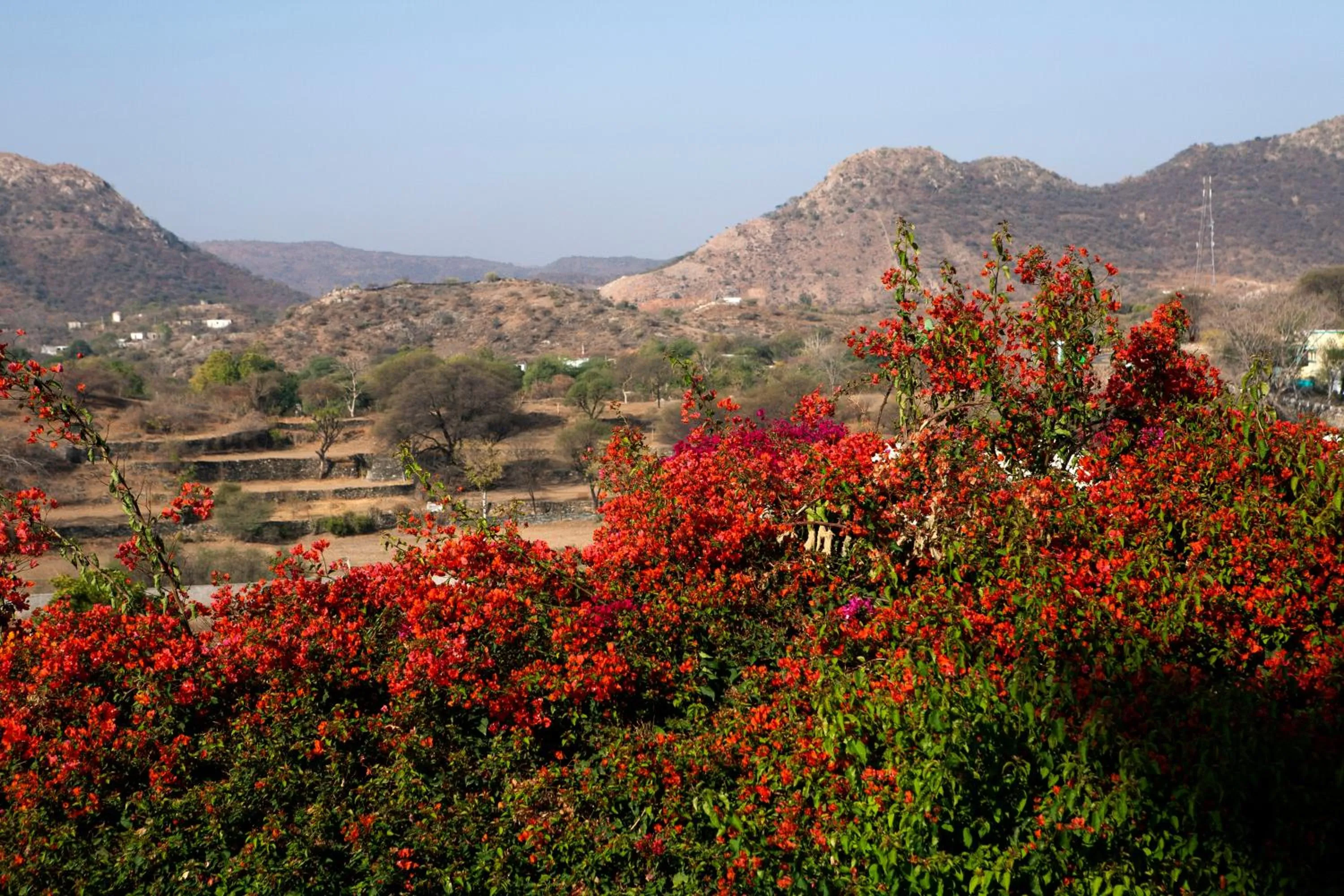 Natural landscape in RAAS Devigarh