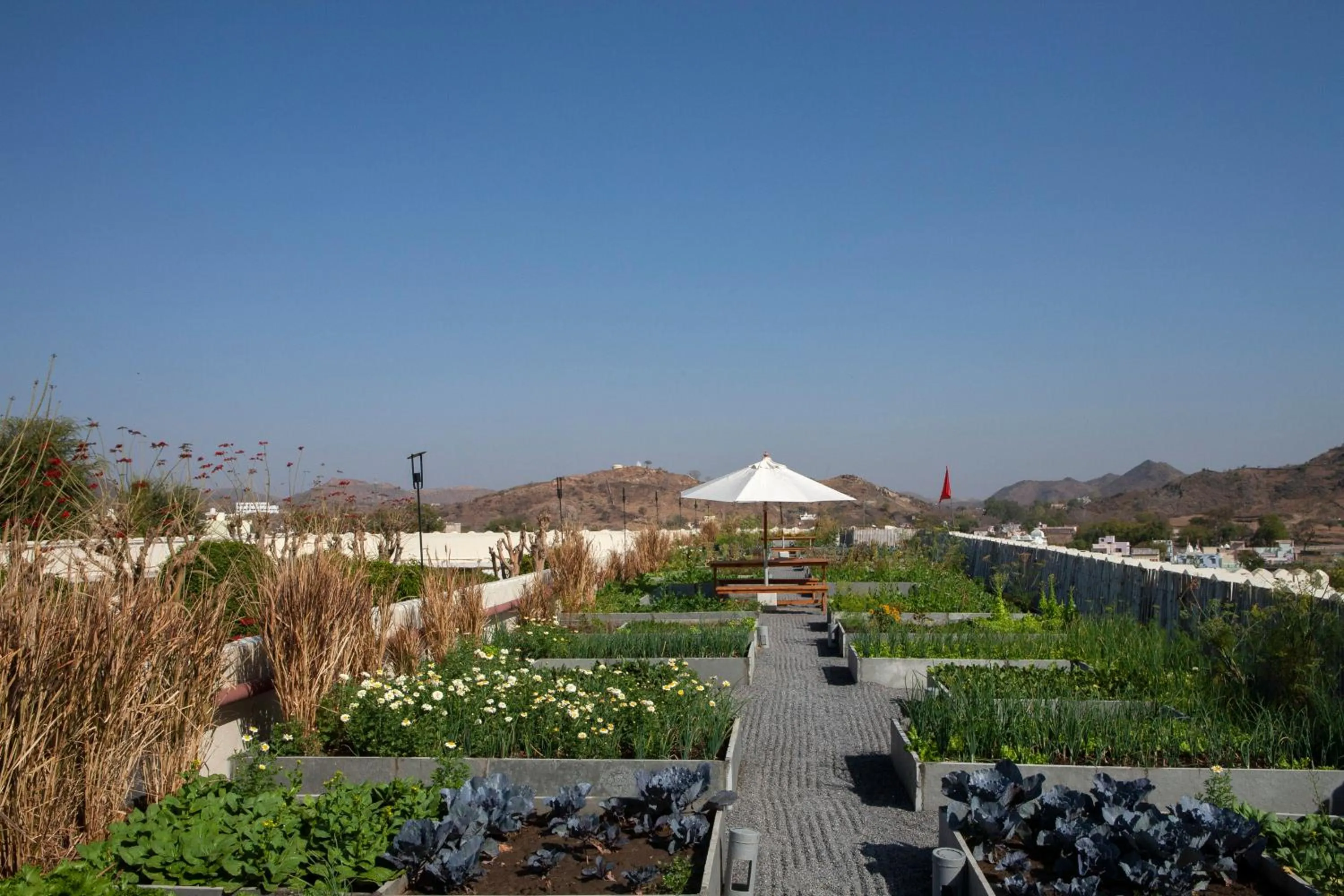 Day in RAAS Devigarh