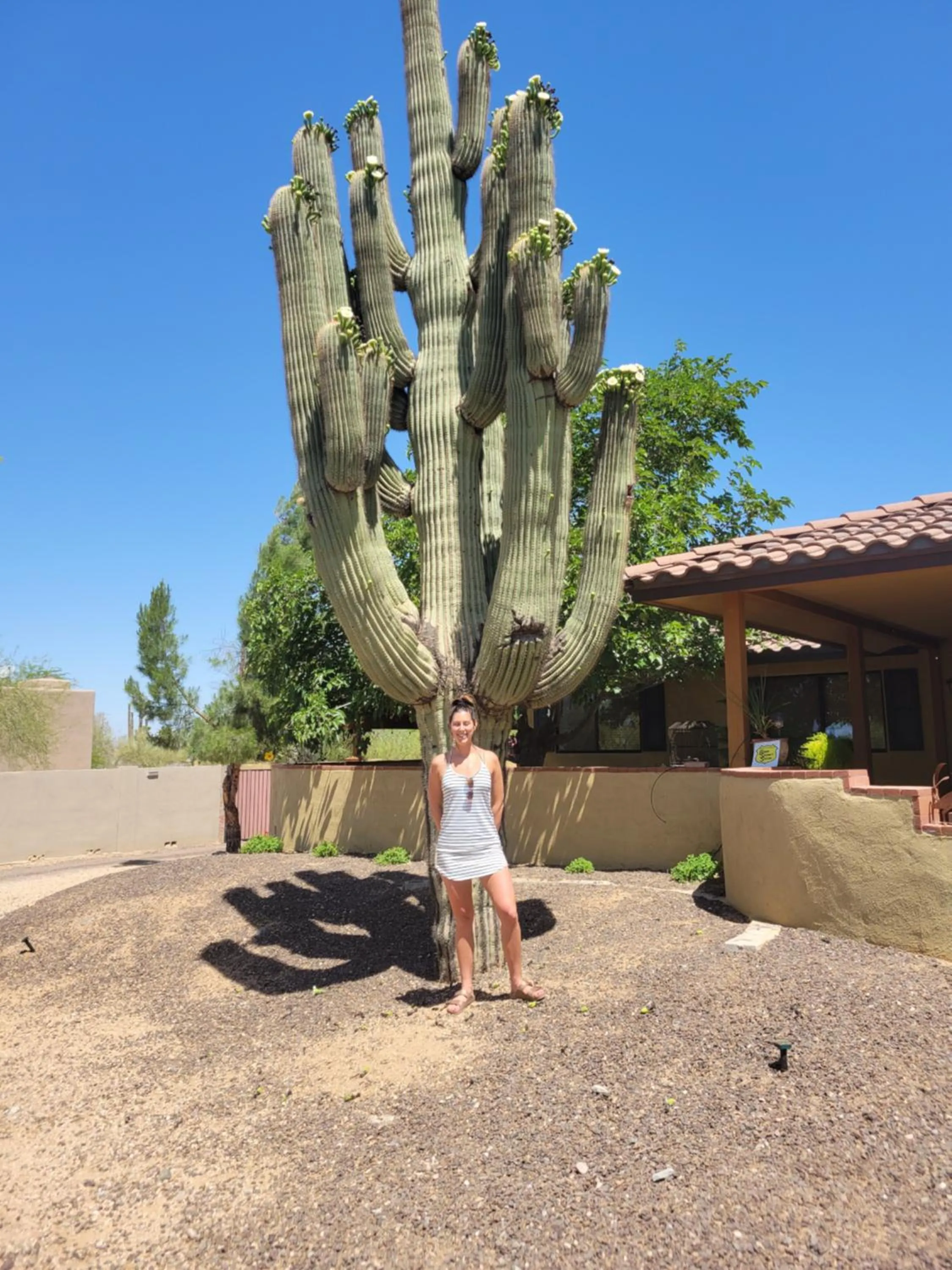 Natural landscape in Private, Quite Casita , N. Scottsdale area,Private Pool & Patio, Cave Creek Az.