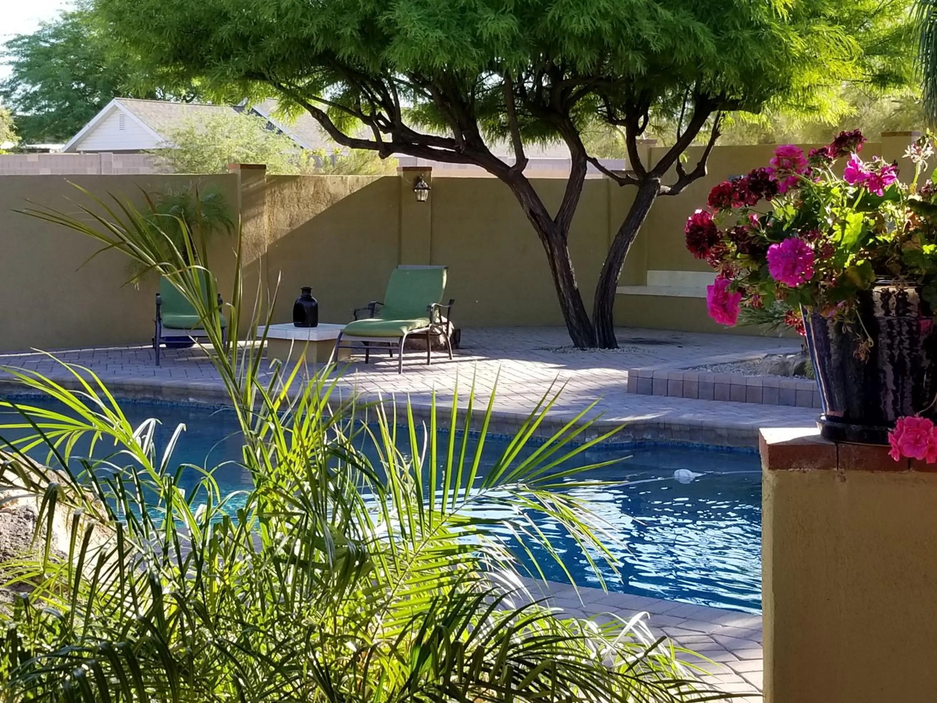 Patio in Private, Quite Casita , N. Scottsdale area,Private Pool & Patio, Cave Creek Az.