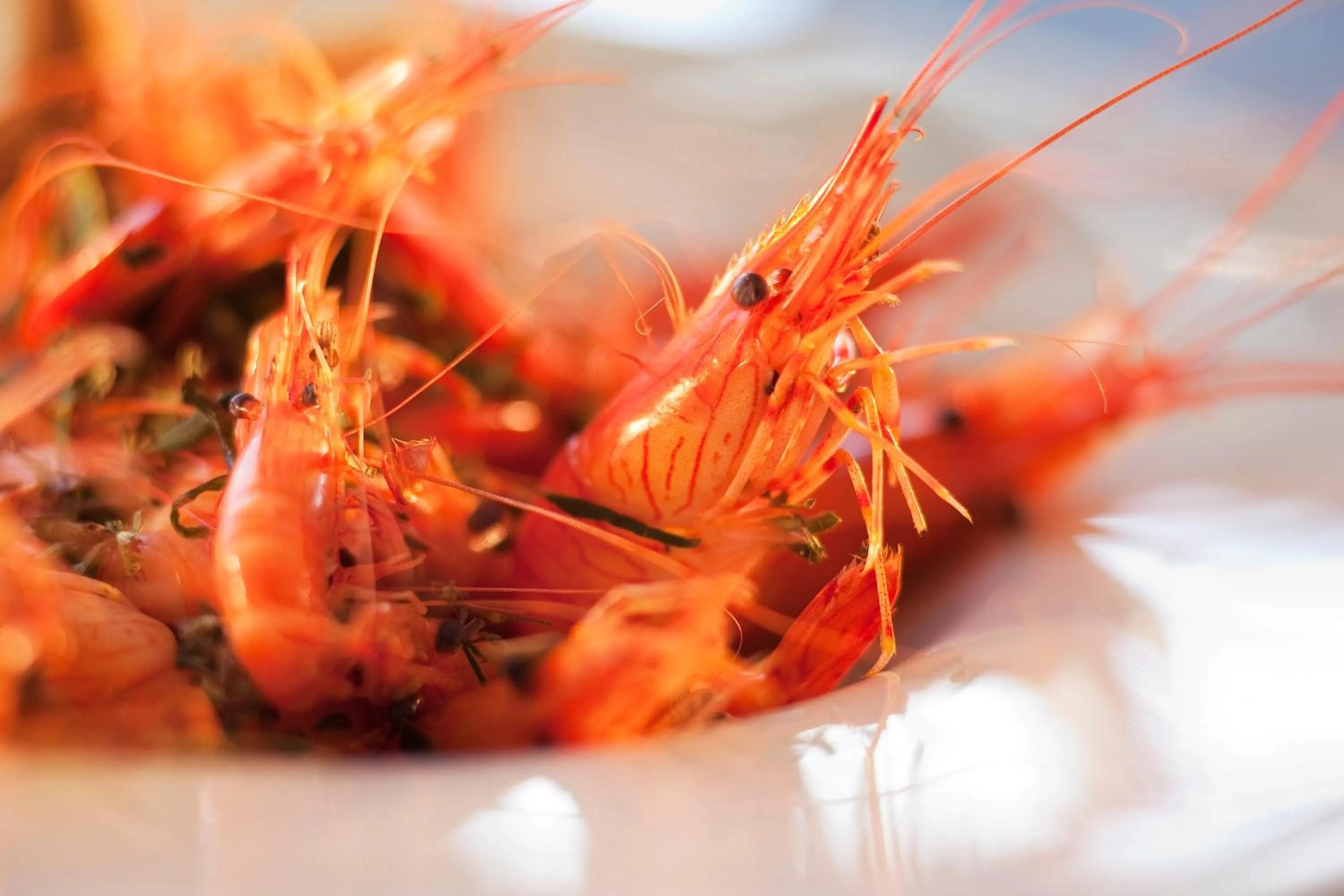 Kitchen or kitchenette in Résidence Le Vénète