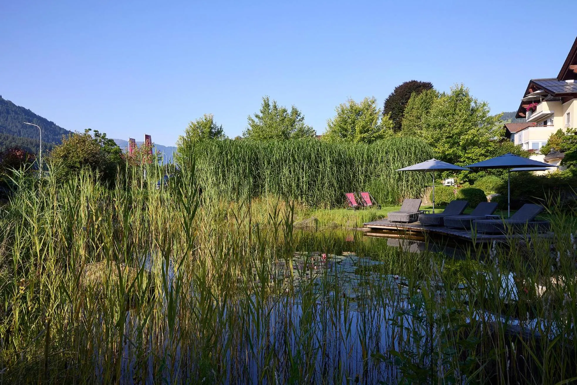 Garden in Hotel Hubertus