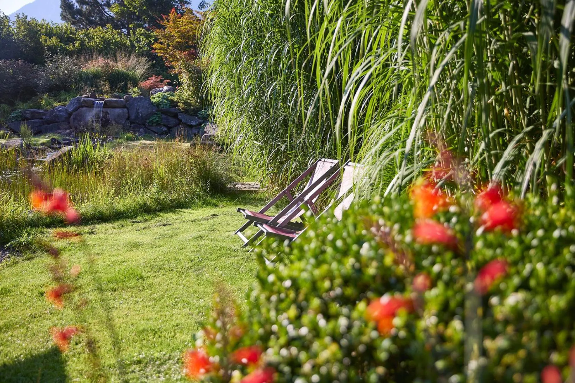 Garden in Hotel Hubertus