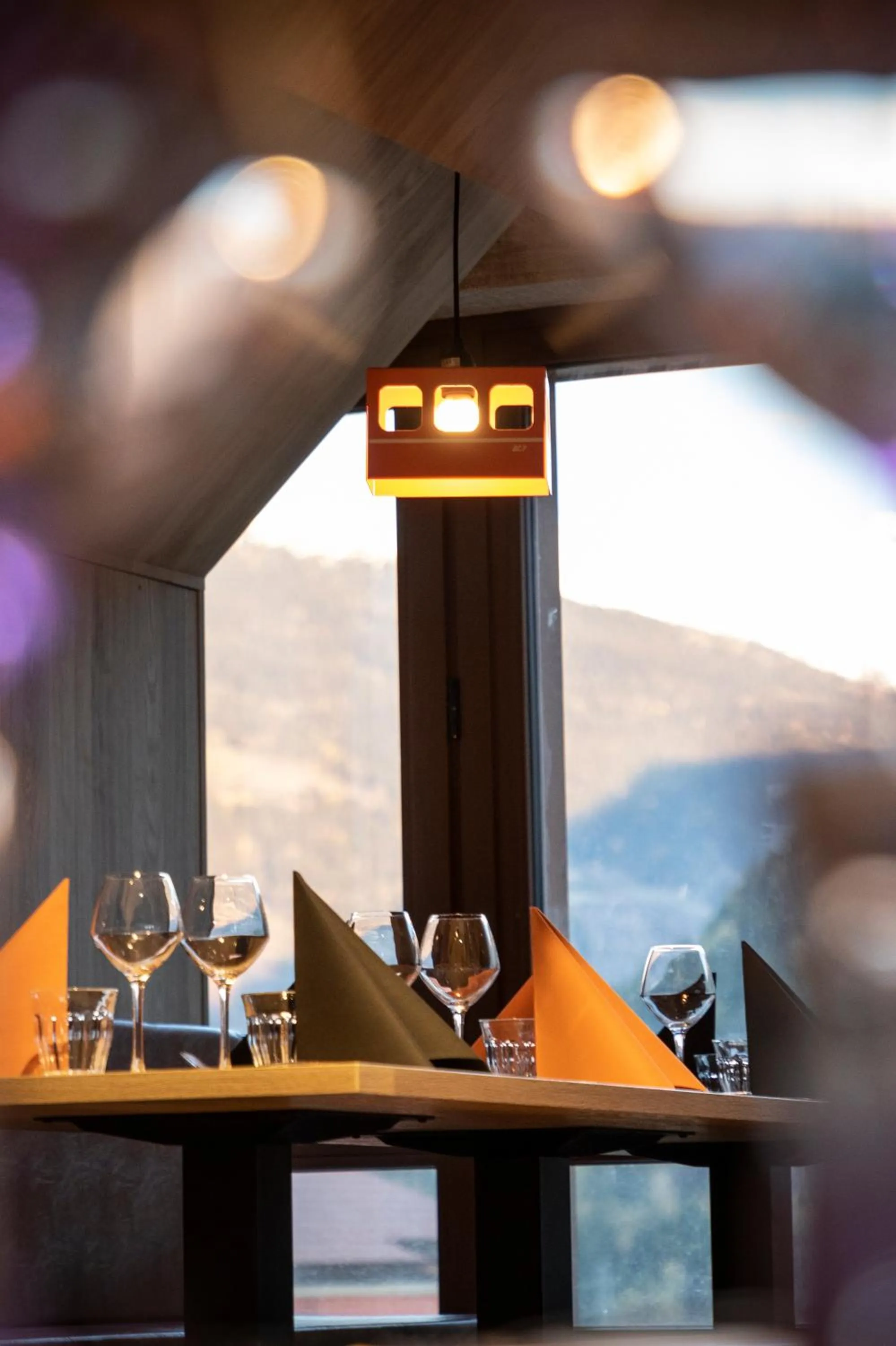 Area and facilities in Hotel Base Camp Lodge - Bourg Saint Maurice