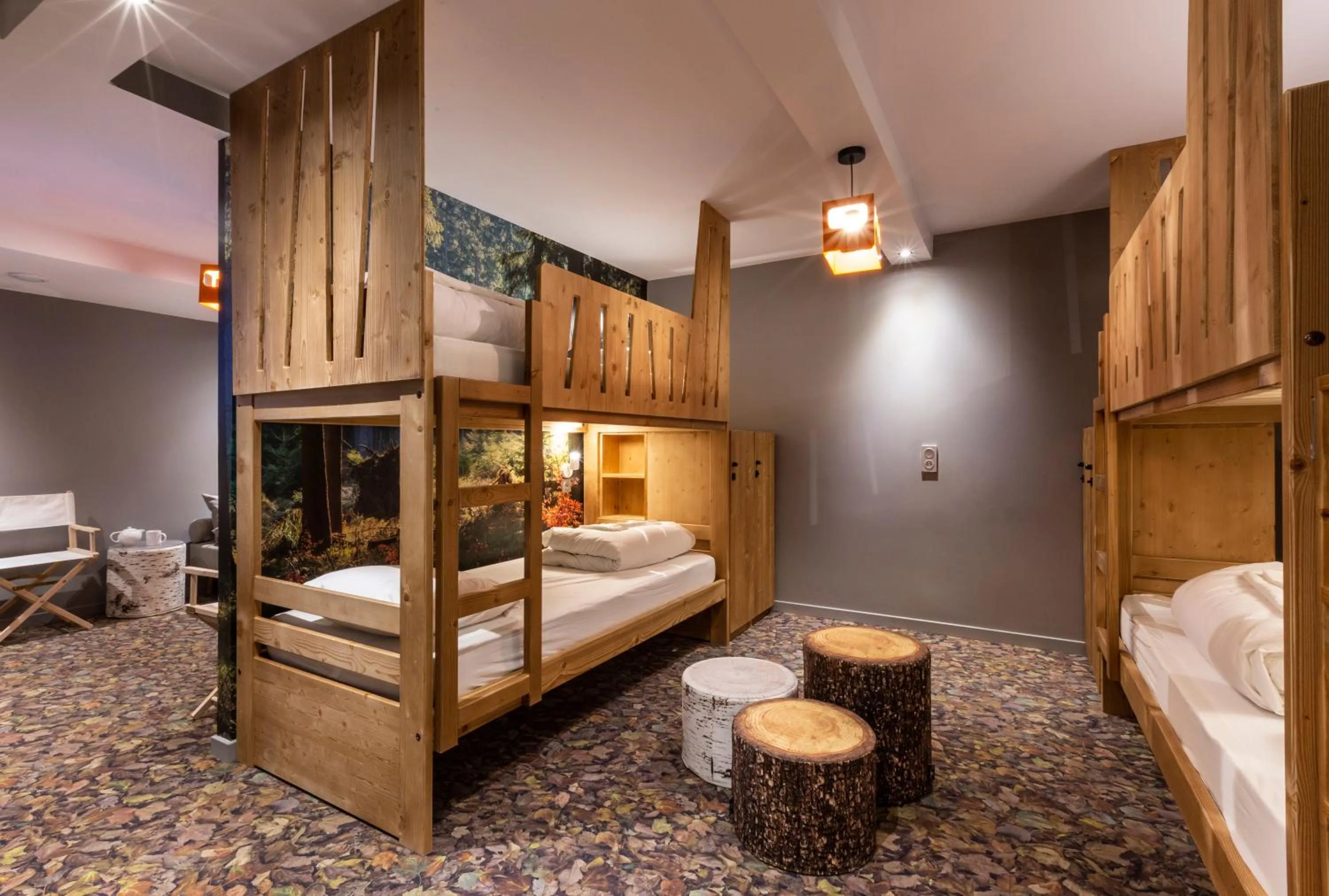 bunk bed, Bed in Hotel Base Camp Lodge - Bourg Saint Maurice