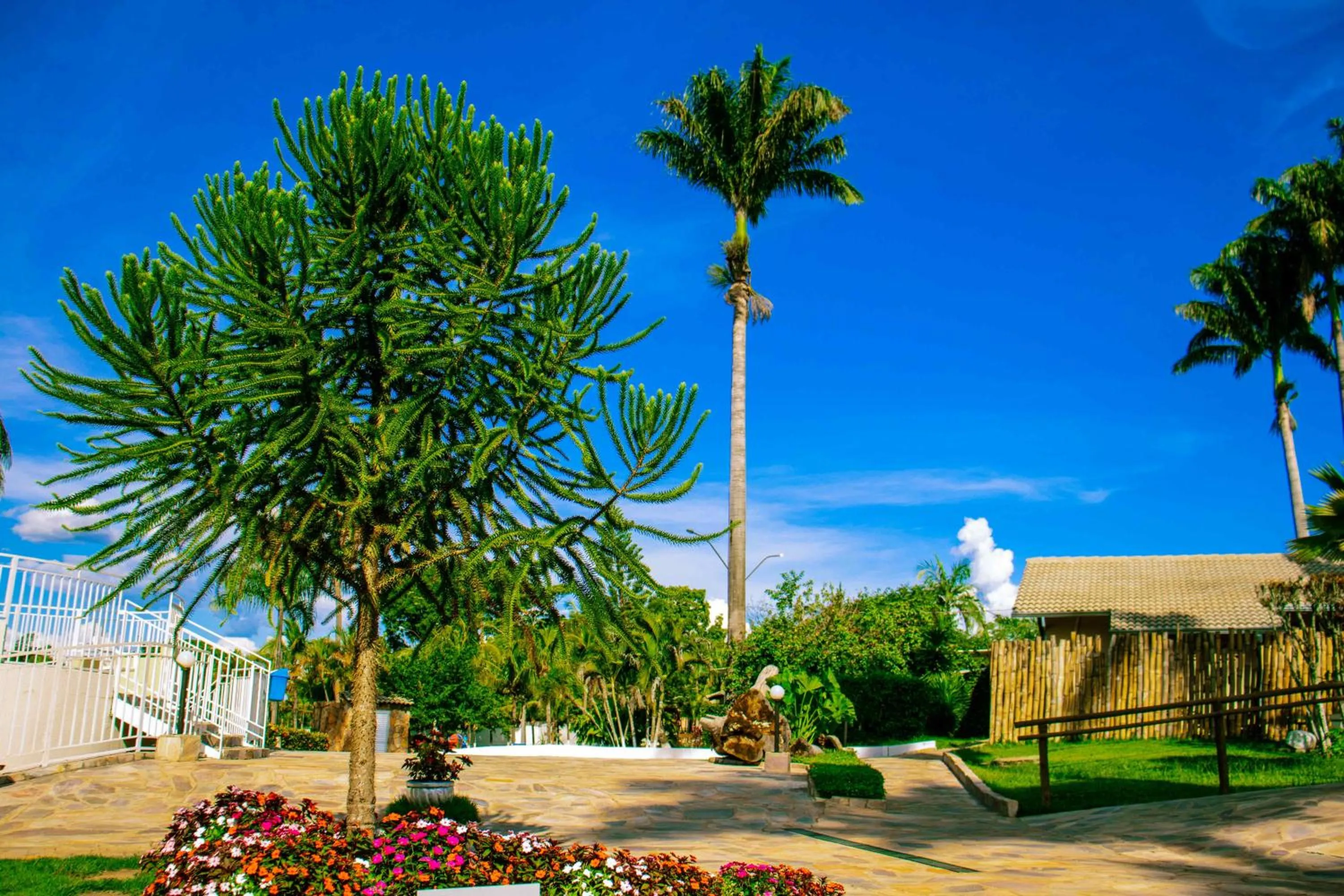 Caldas Park & Hotel Caldas Novas