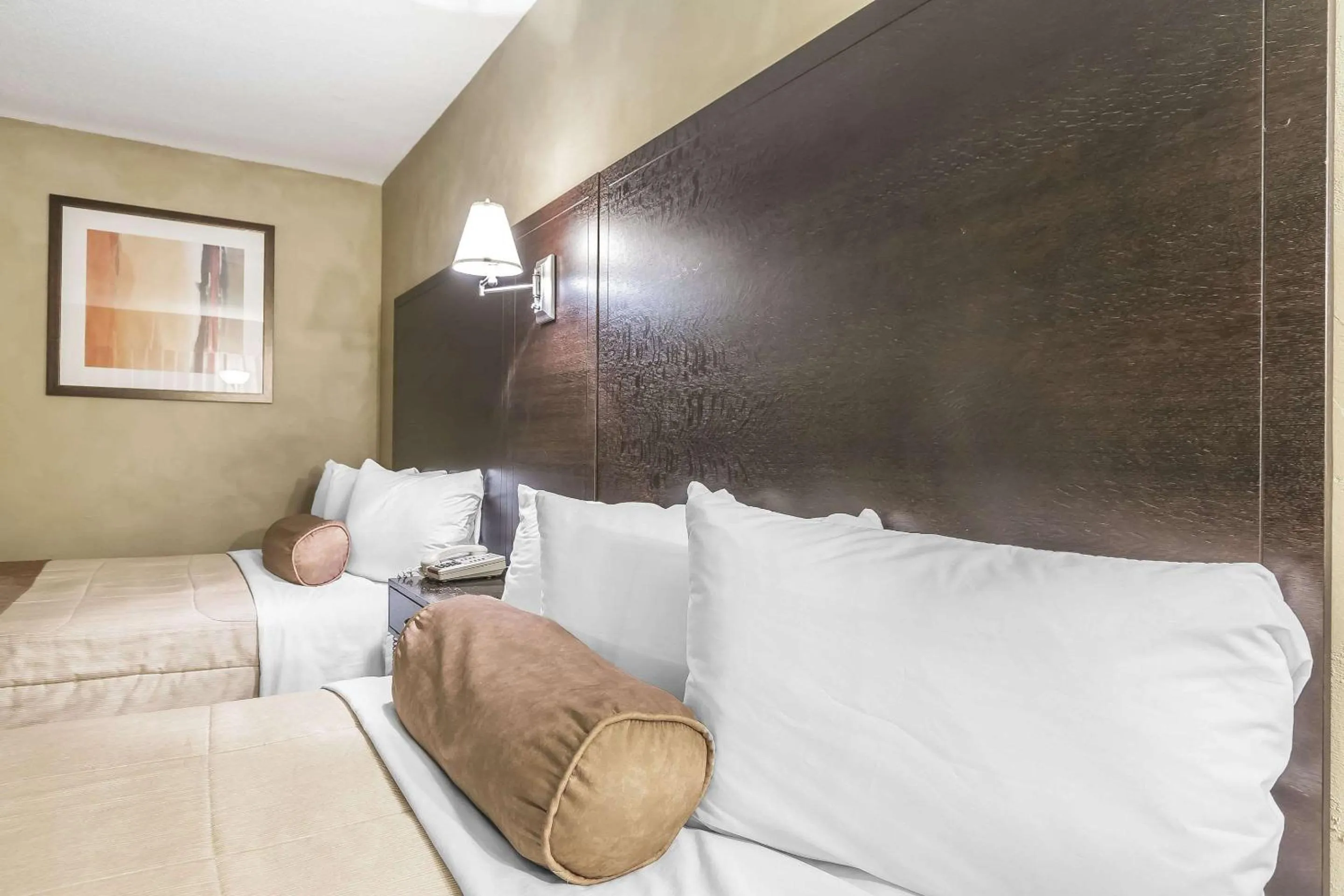 Photo of the whole room, Bed in Quality Hotel & Conference Centre