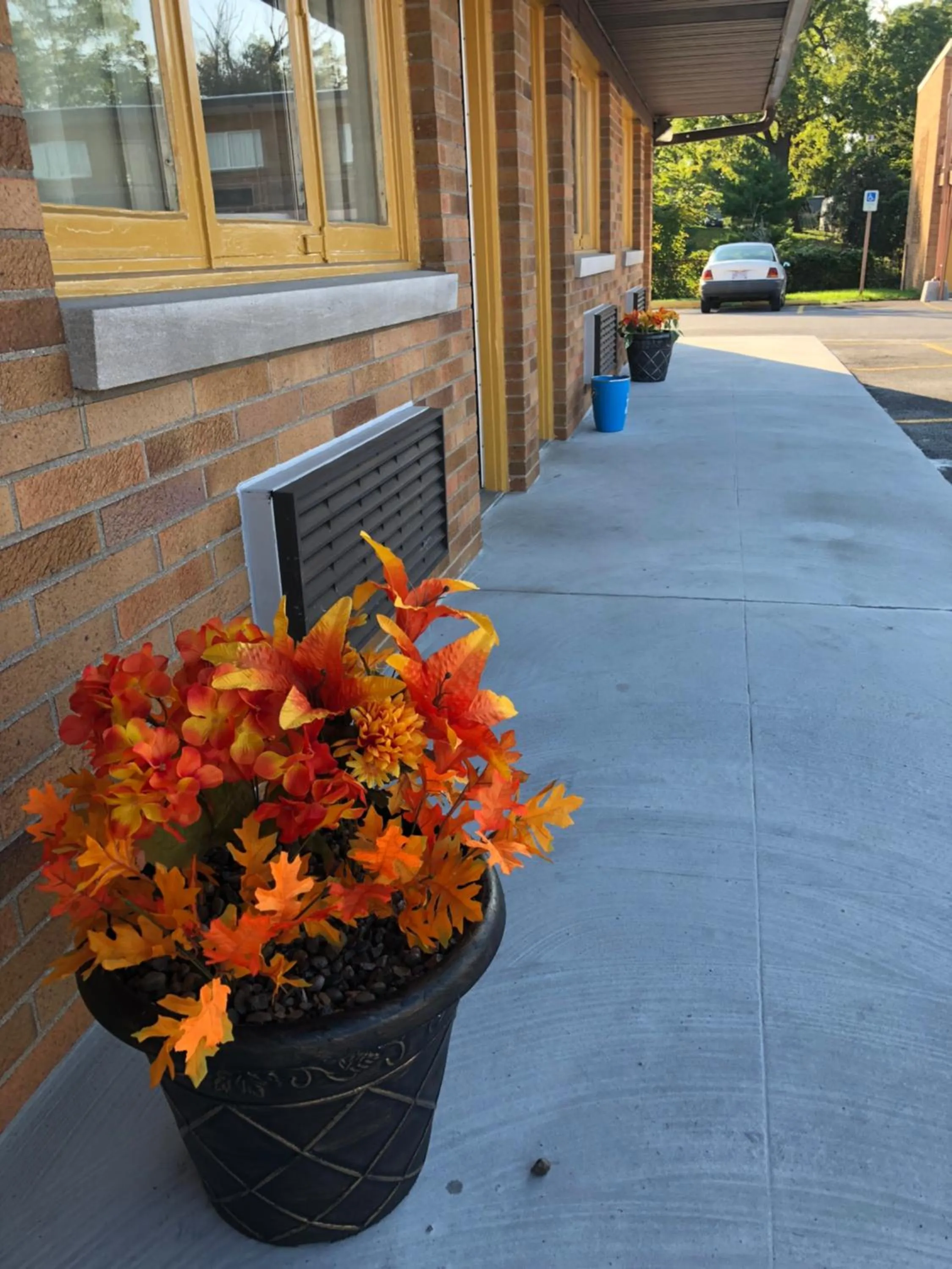 Property building in Wolf Inn Hotel