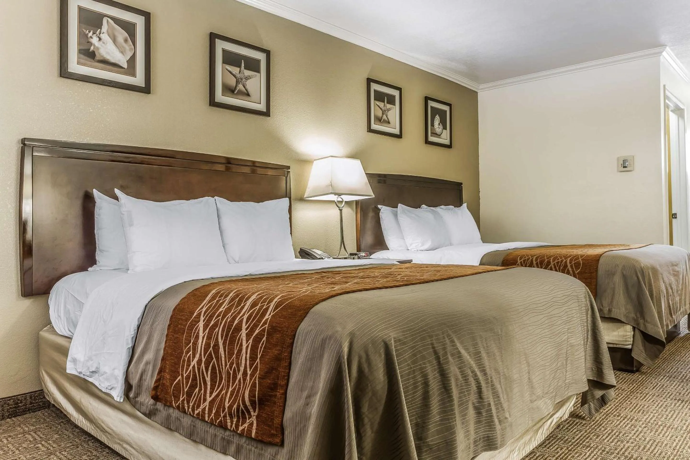 Bedroom, Bed in Comfort Inn