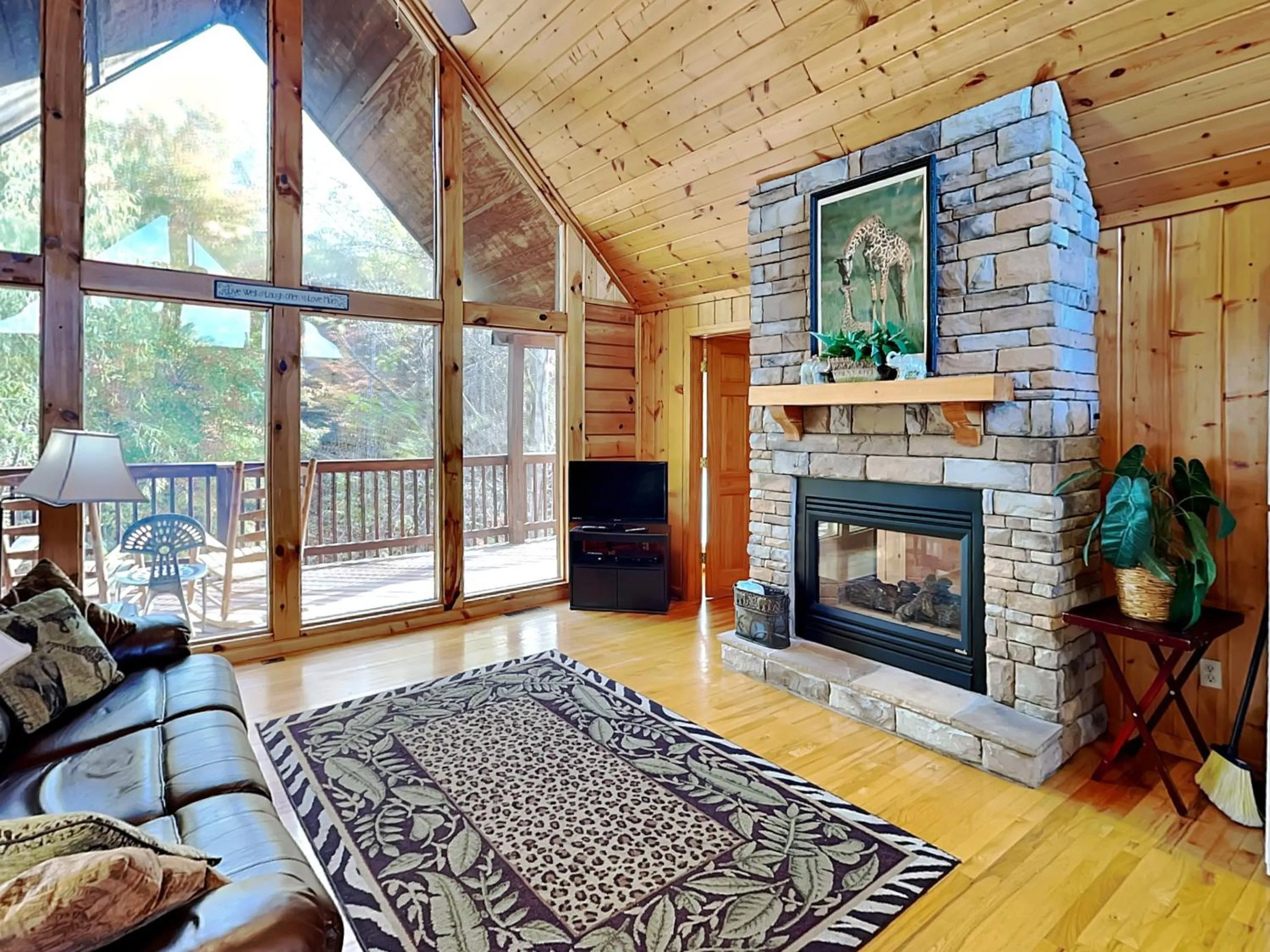 Day in African Safari