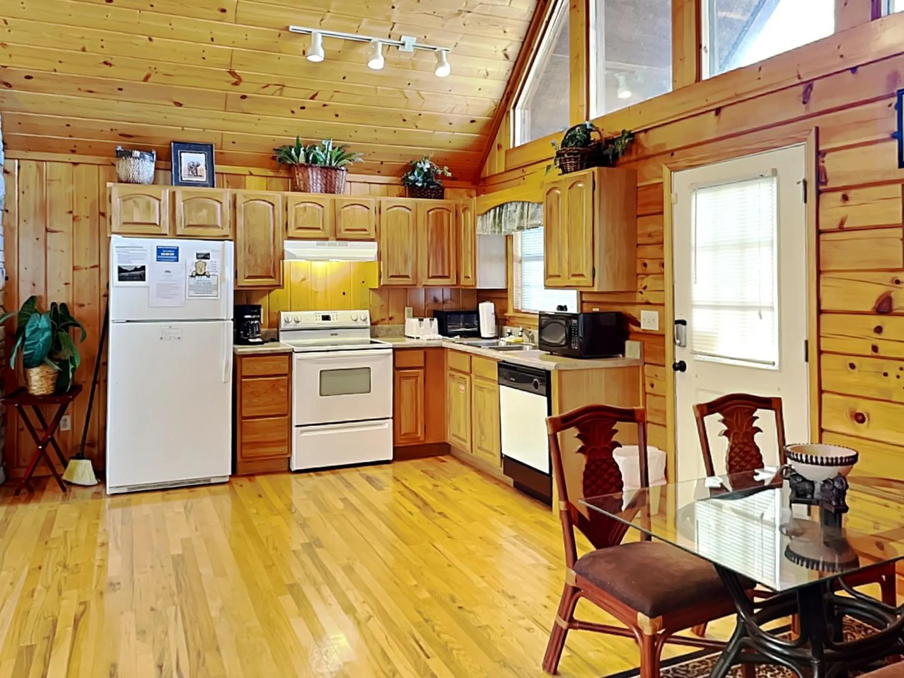 Day in African Safari