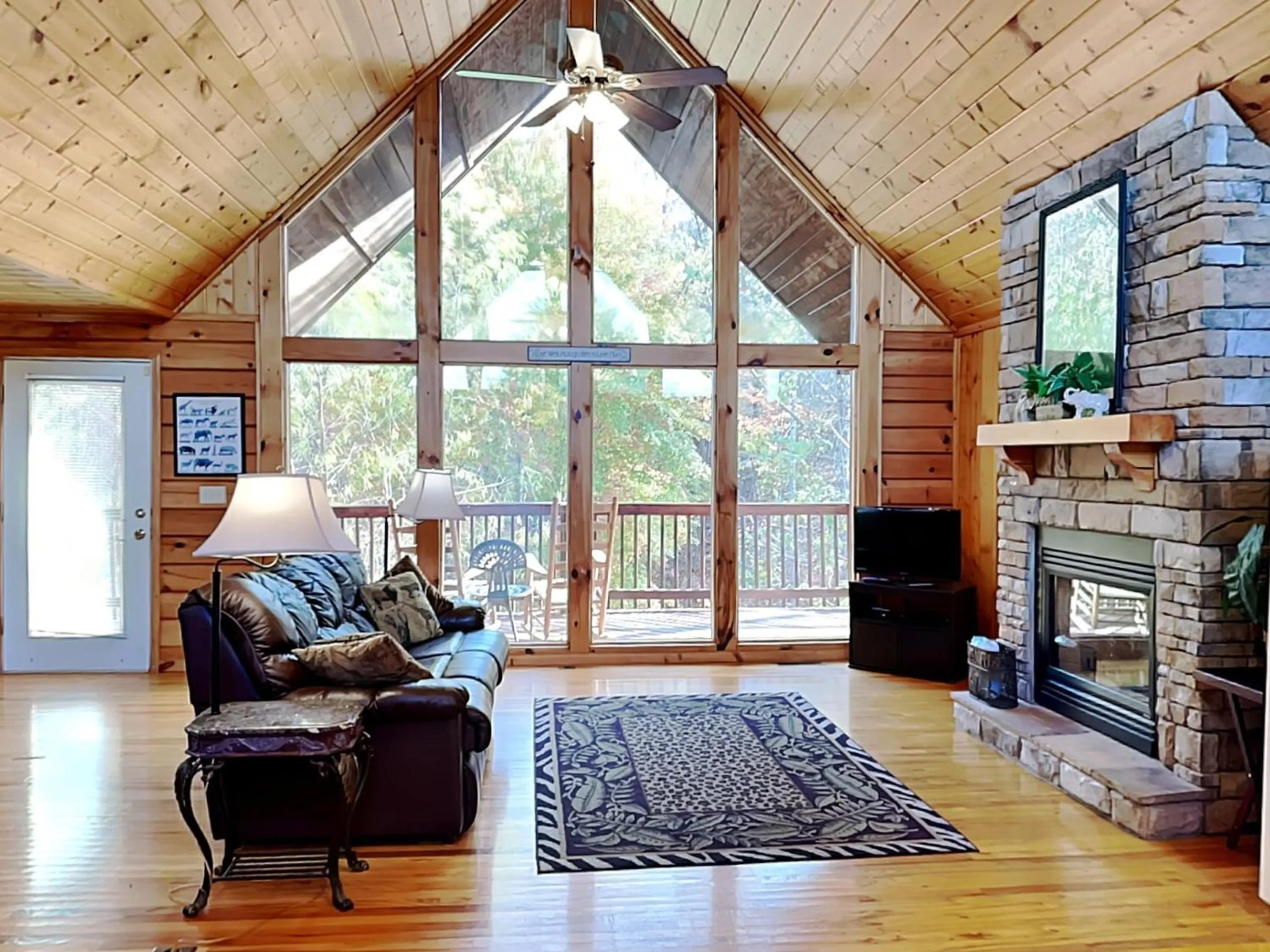 Day in African Safari