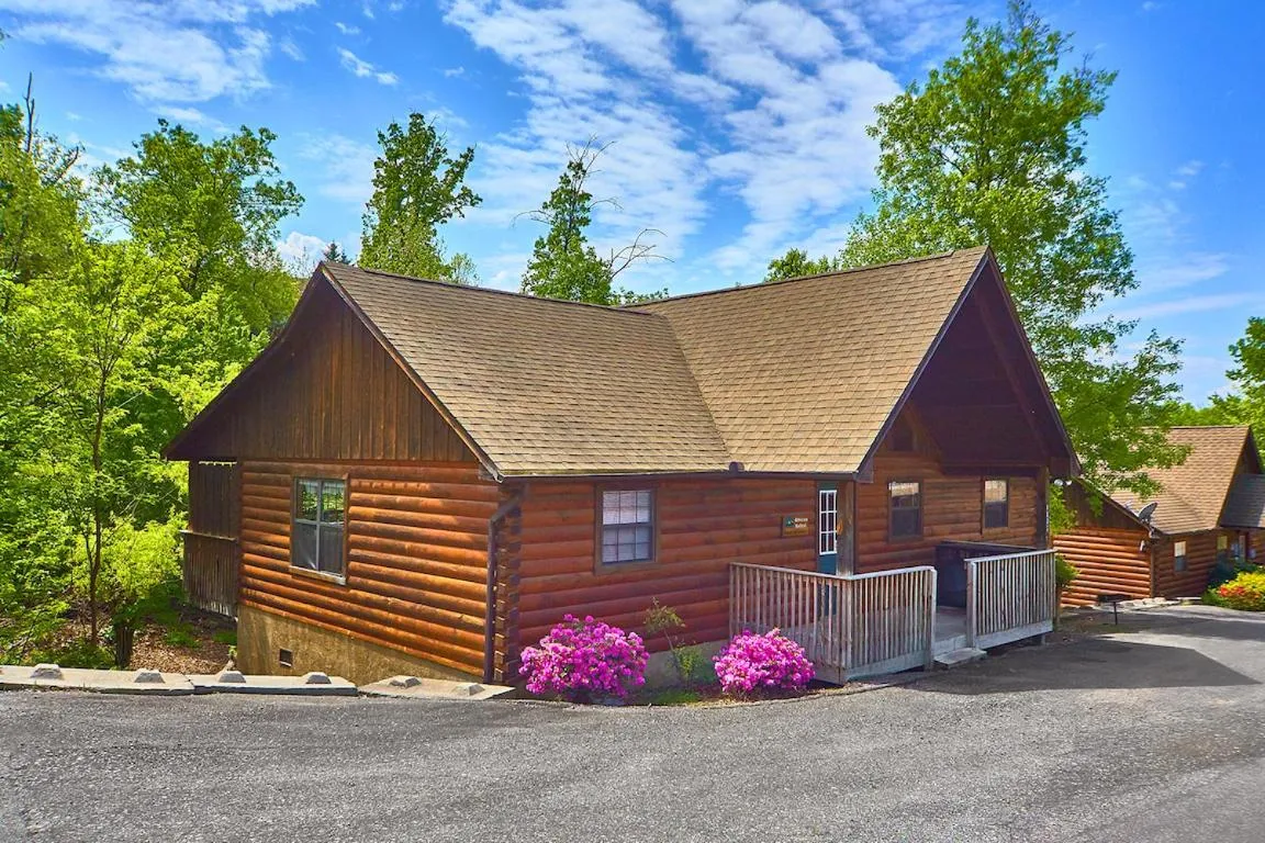 Property building in African Safari