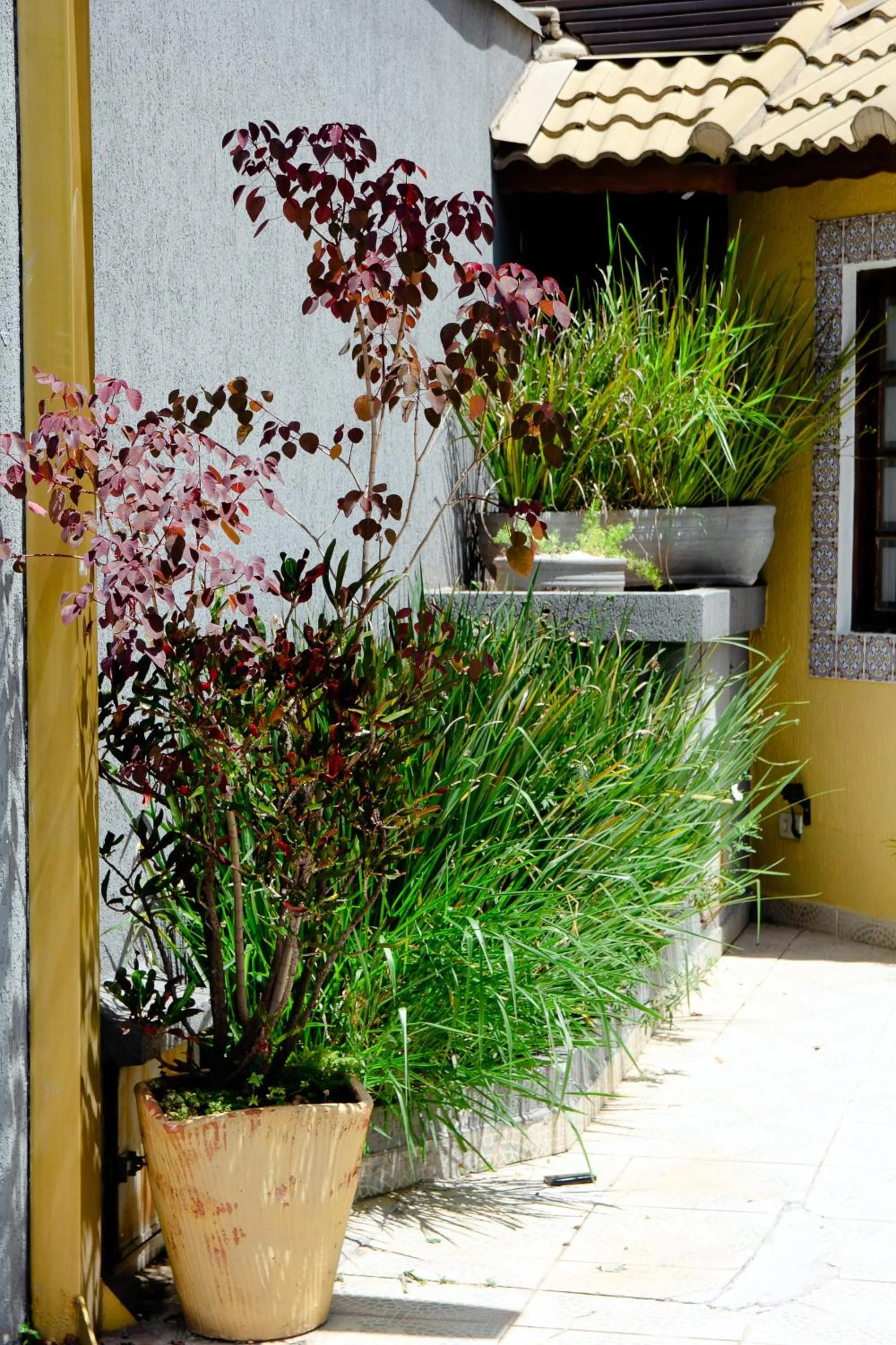 Garden in Hotel Valparaíso - Metrô Paraíso e 800m da Av Paulista