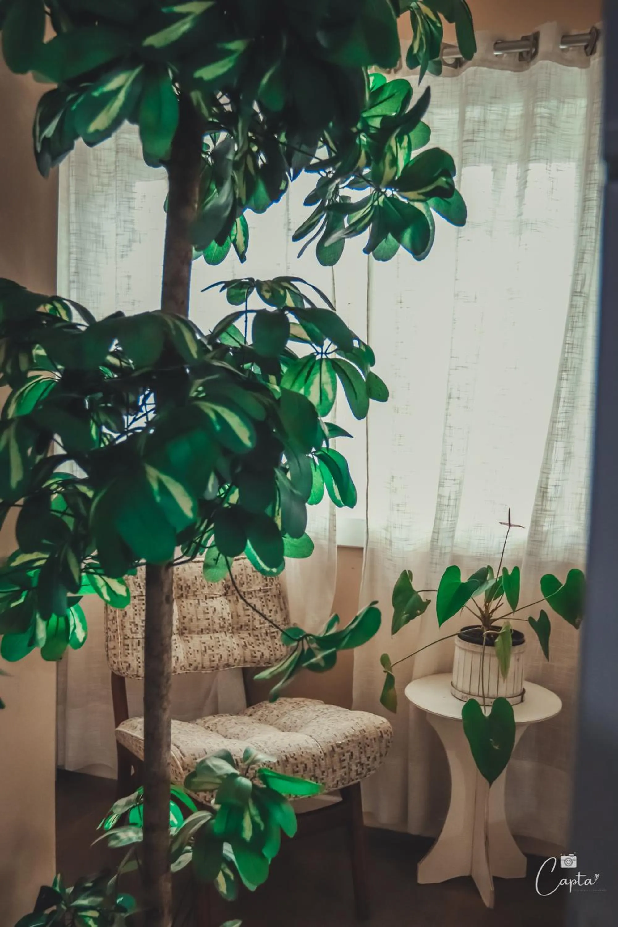 Seating area in Pousada Villa Vecchia