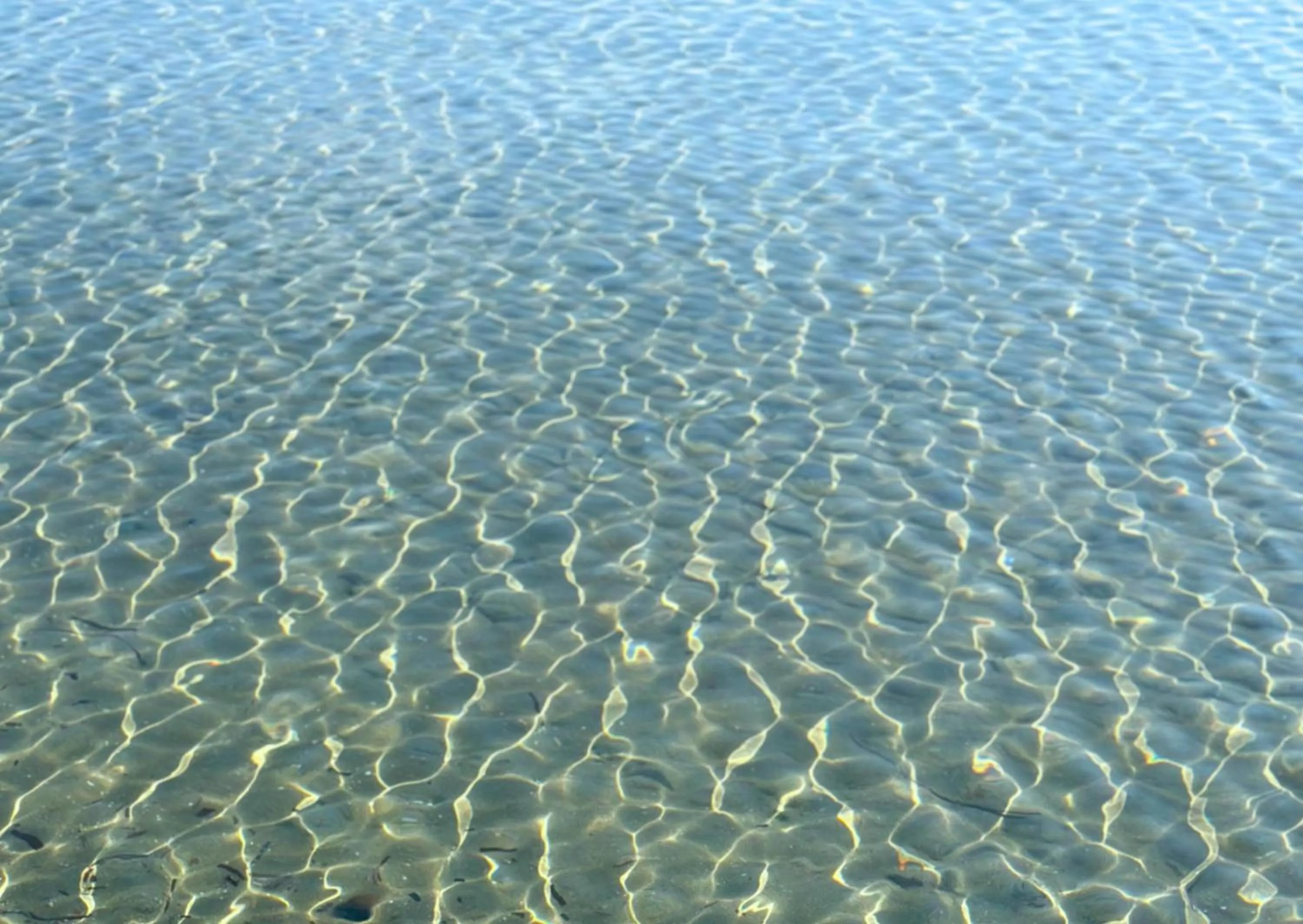 Neighbourhood in Residence Talamone Il Poderino