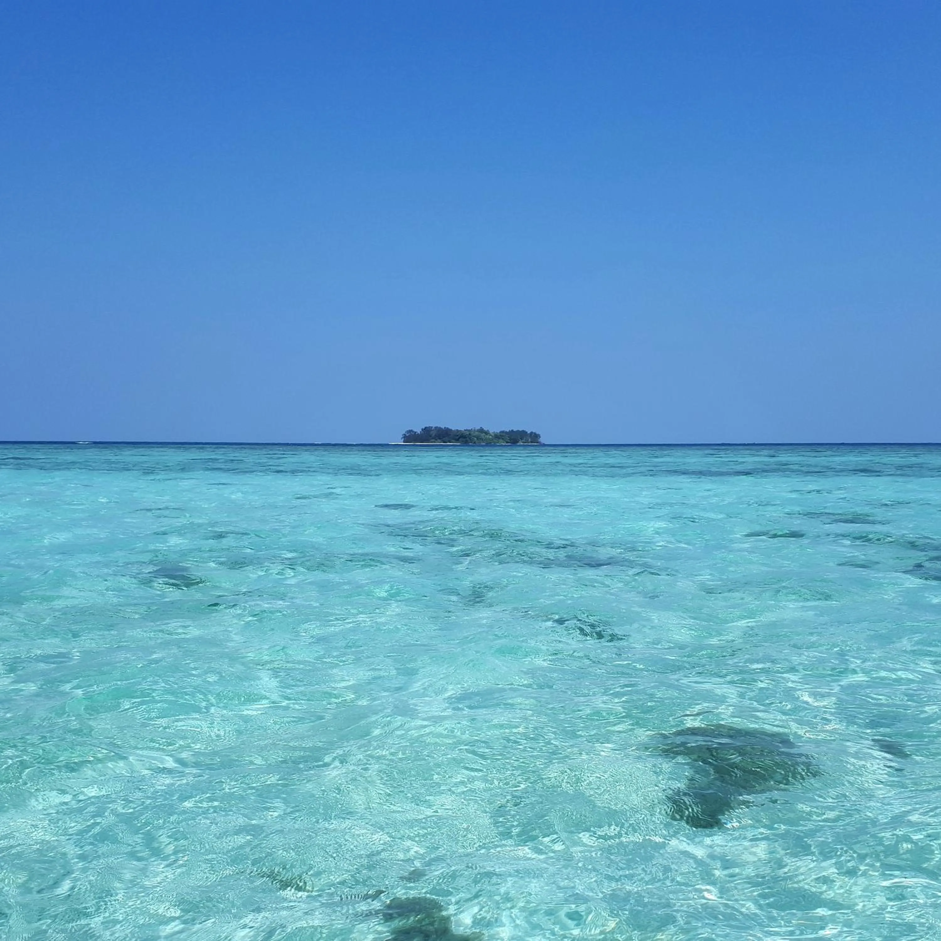 Off site in L'isola che...