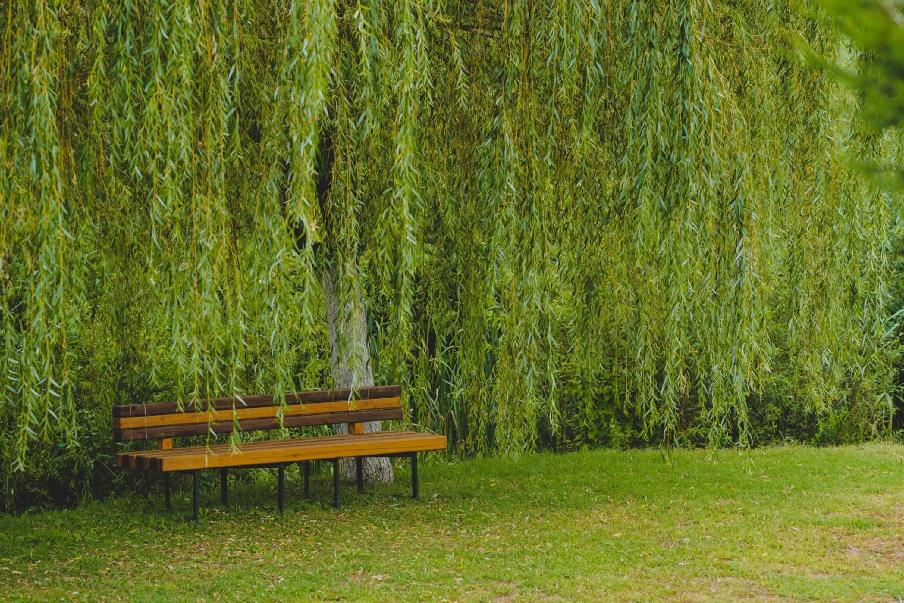 Natural landscape in Hotel Class