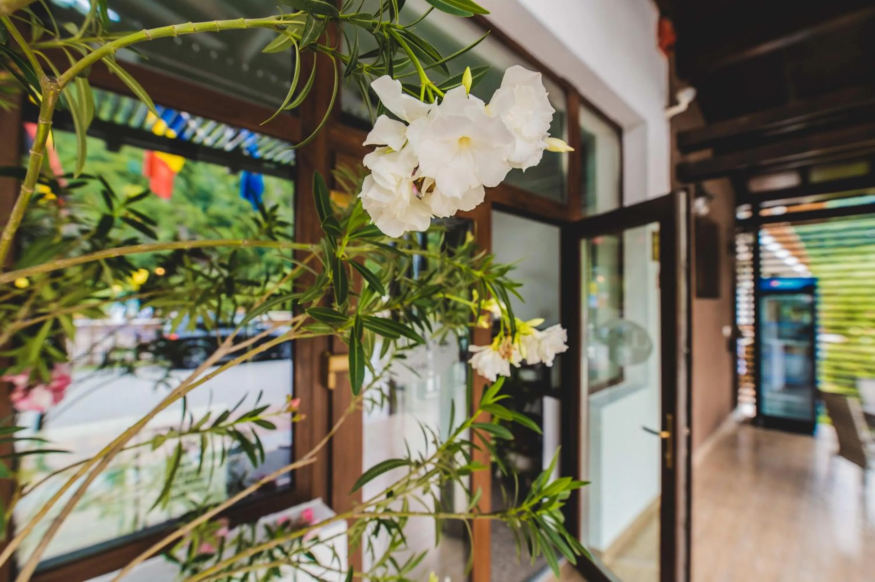 Facade/entrance in Hotel Class