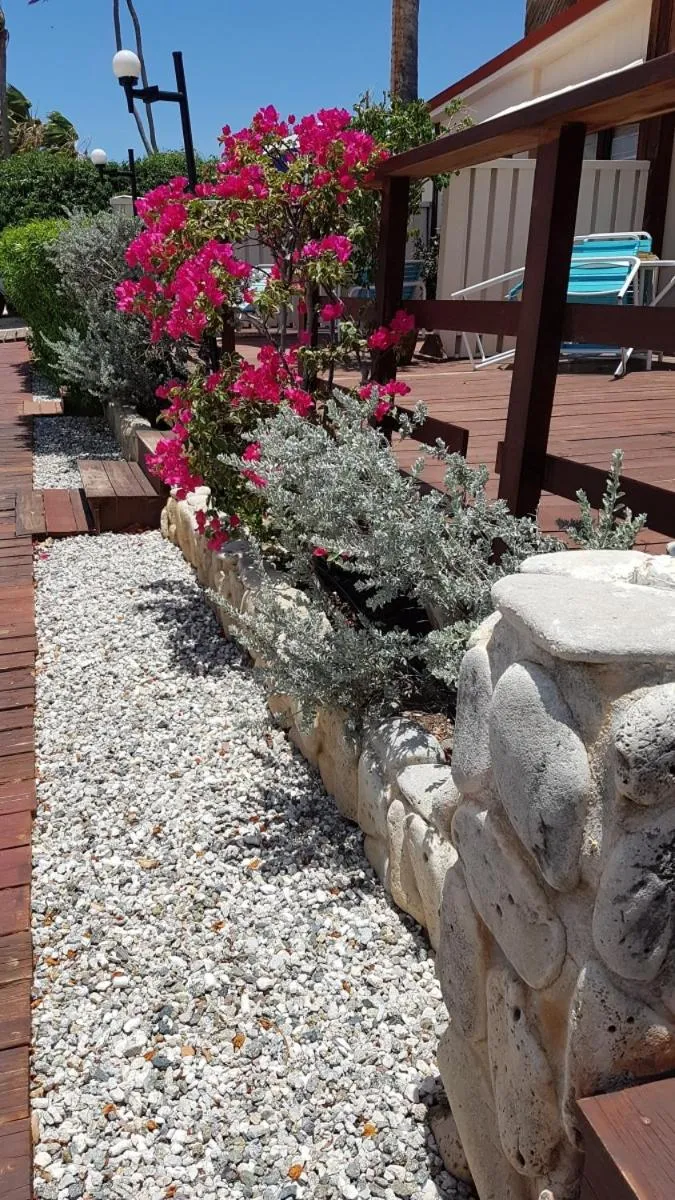 Garden in Aruba Beach Villas