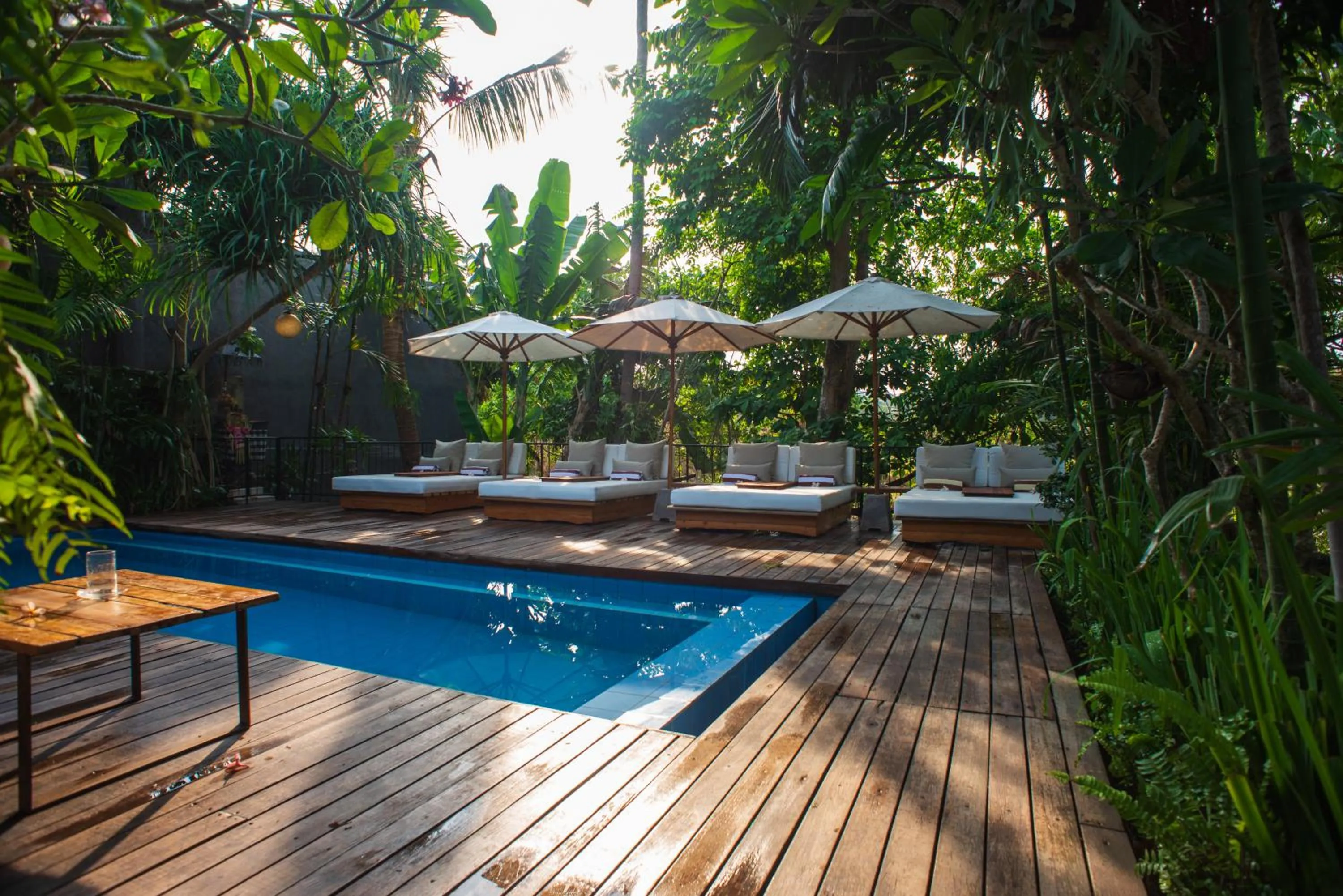 Natural landscape in Pangkung Sari Bed and Breakfast