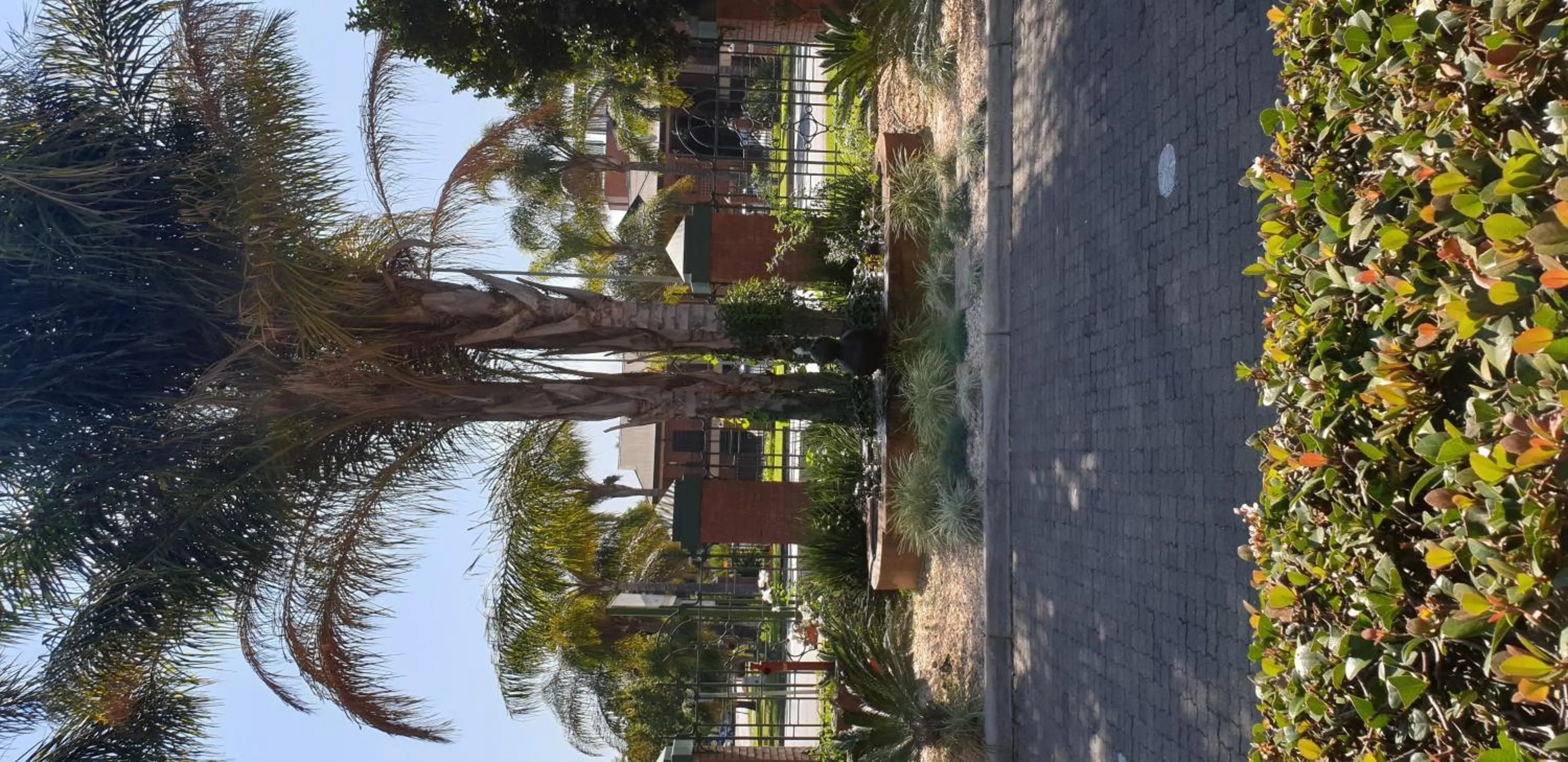 Garden in Pietersburg Club